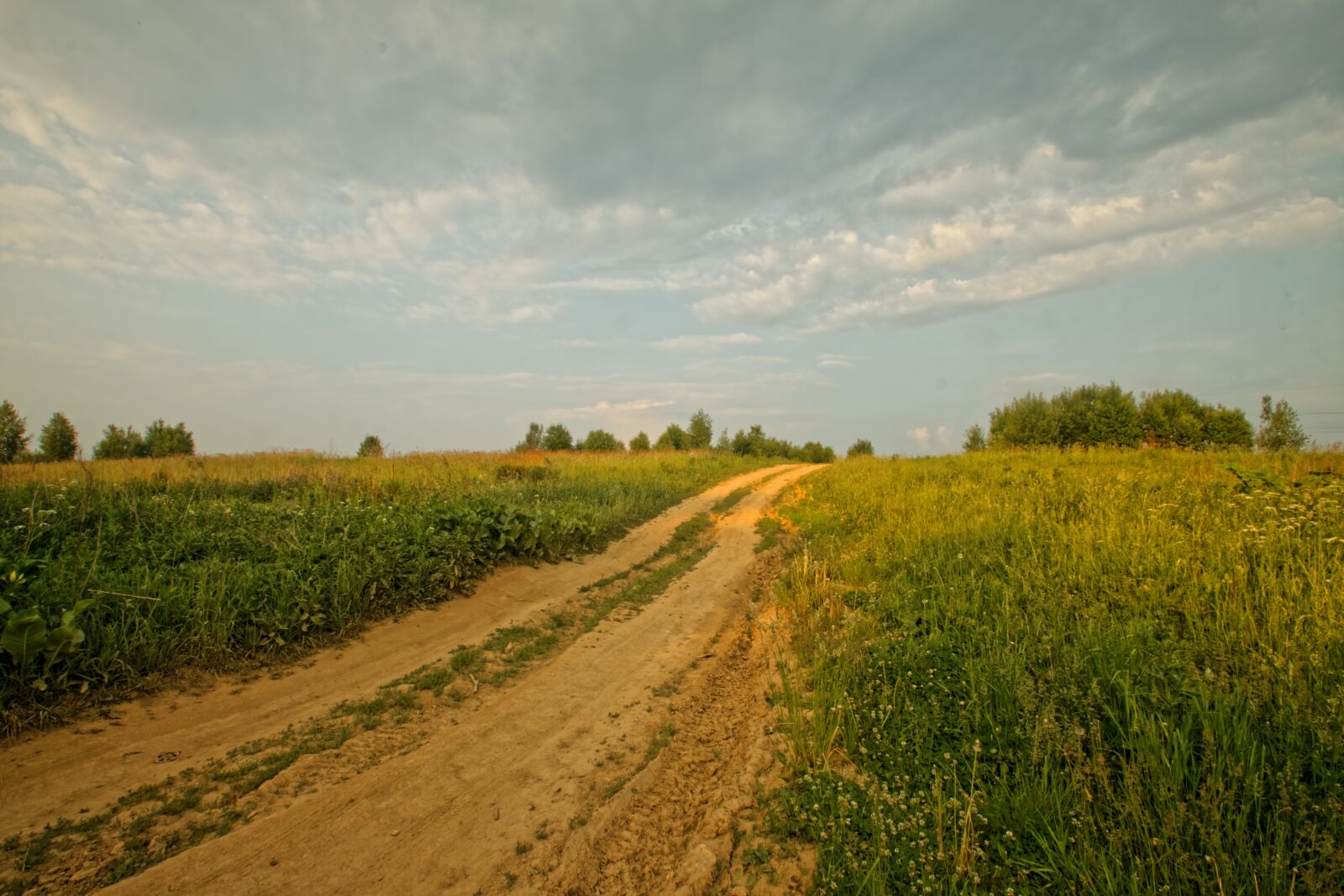 Canon EOS 500D (EOS Rebel T1i / EOS Kiss X3) sample photo. Field, summer, clouds photography