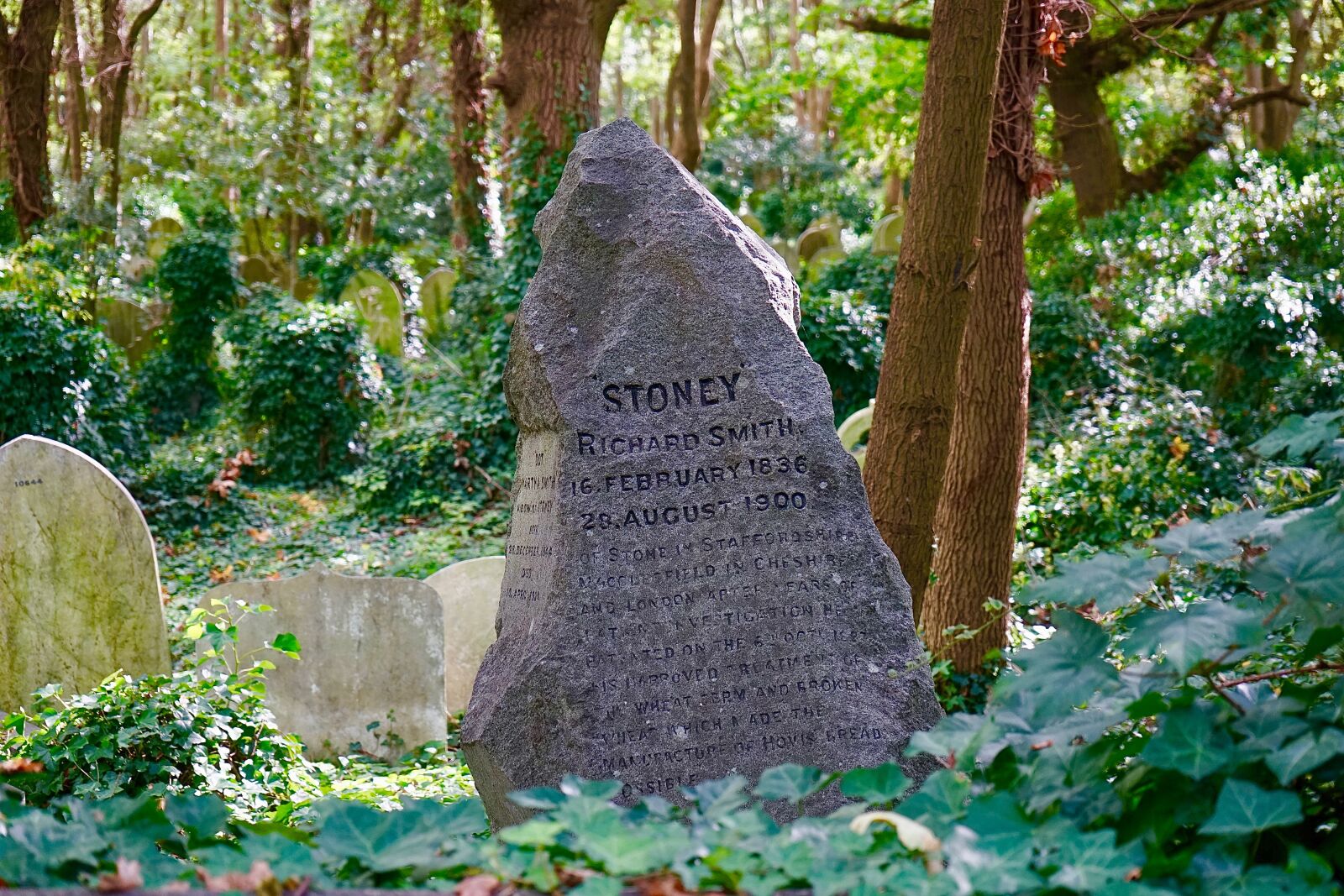 Sony a7 + Sony FE 28-70mm F3.5-5.6 OSS sample photo. Cemetery, stone, grave photography