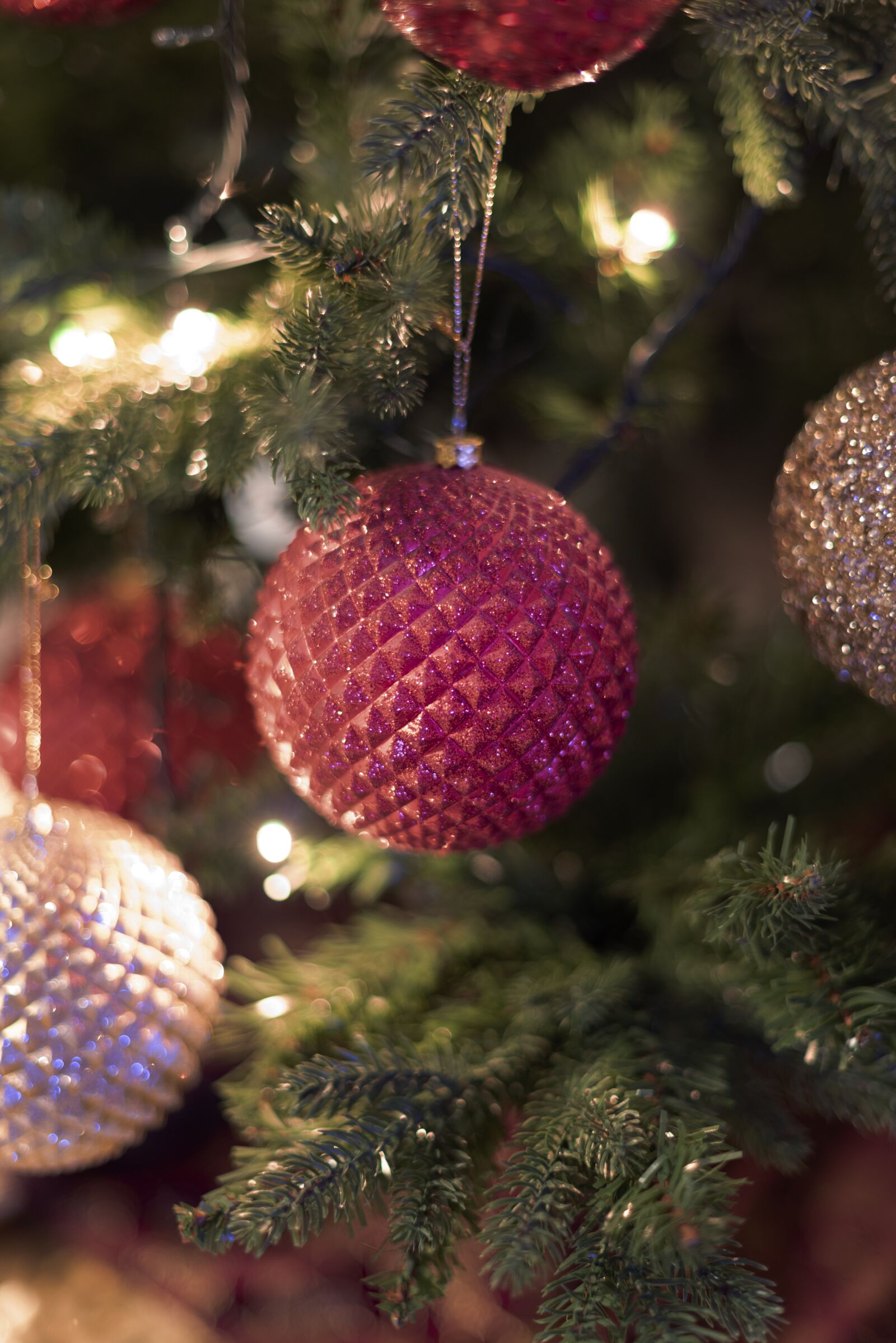 Nikon D750 sample photo. Christmas, lights, holiday photography