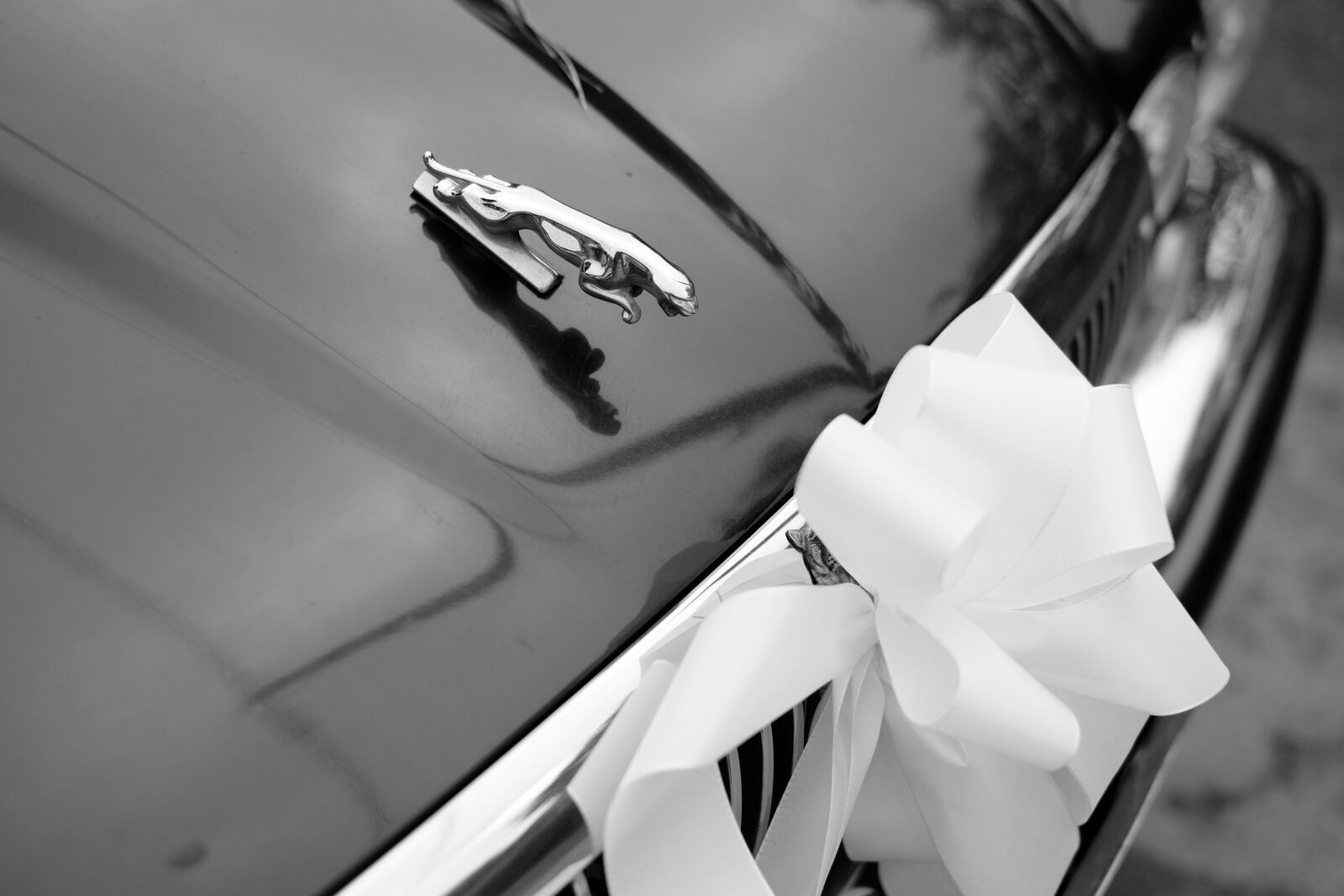 Fujifilm X-T1 + Fujifilm XF 35mm F1.4 R sample photo. Car, jaguar, hood photography