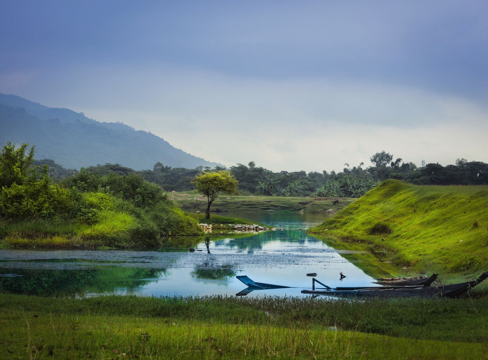 Canon EF-S 55-250mm F4-5.6 IS STM sample photo. Nature, bangladesh, landscape photography
