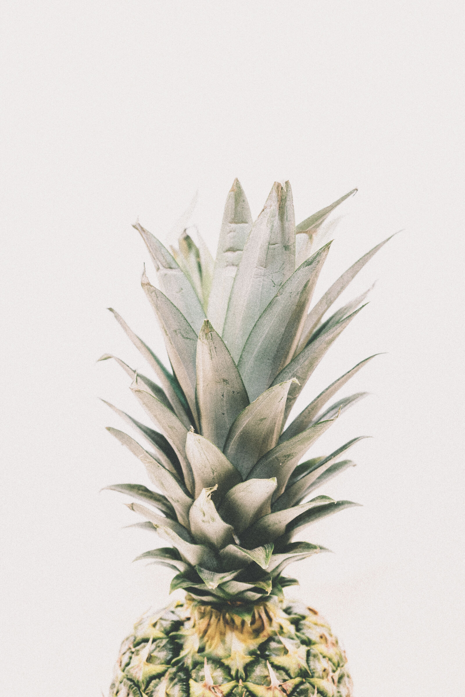 Sony a7 II + Sony FE 28-70mm F3.5-5.6 OSS sample photo. Photography, of, pineapple photography