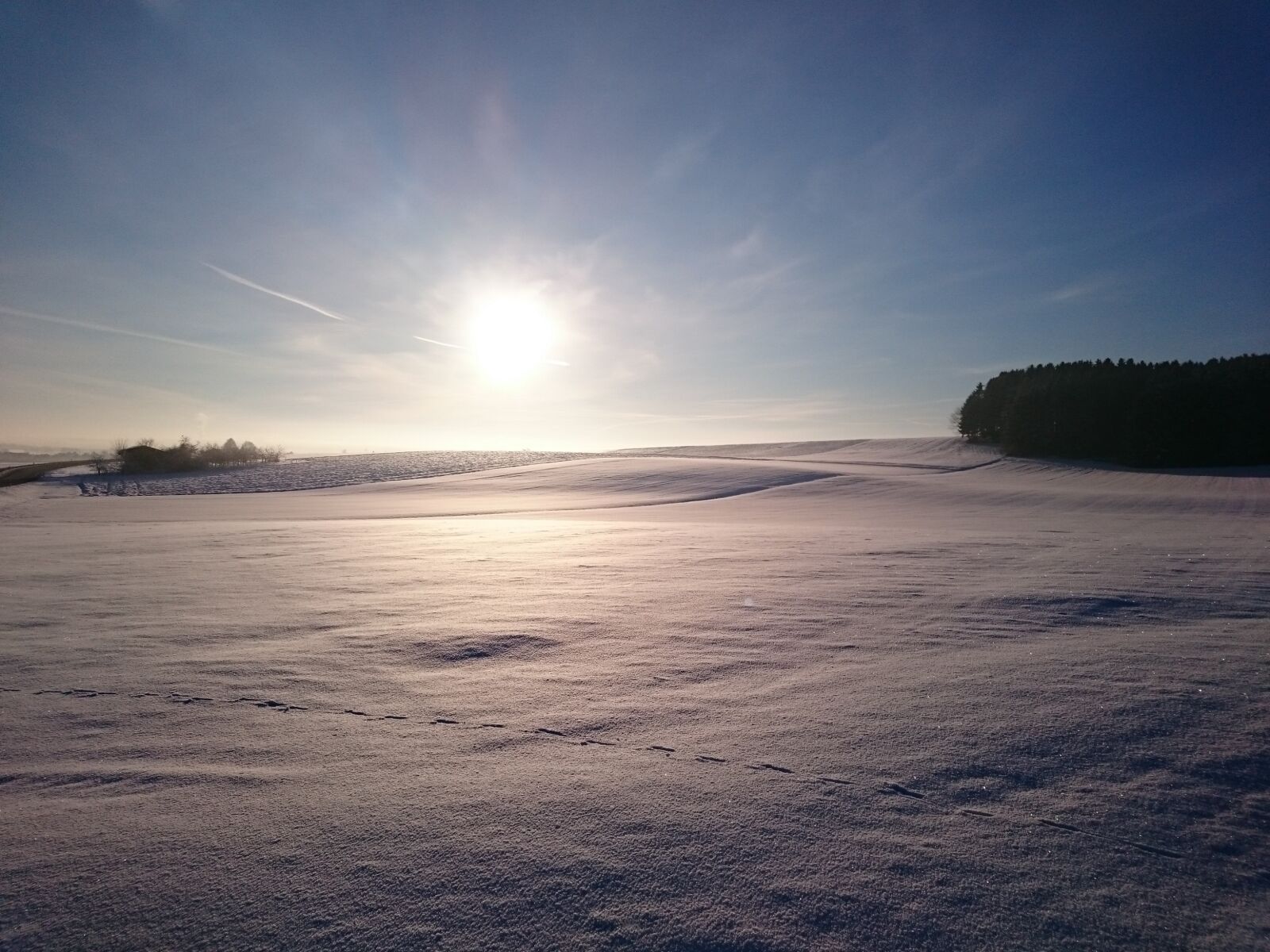 Sony Xperia Z3 sample photo. Sun, winter, cold photography