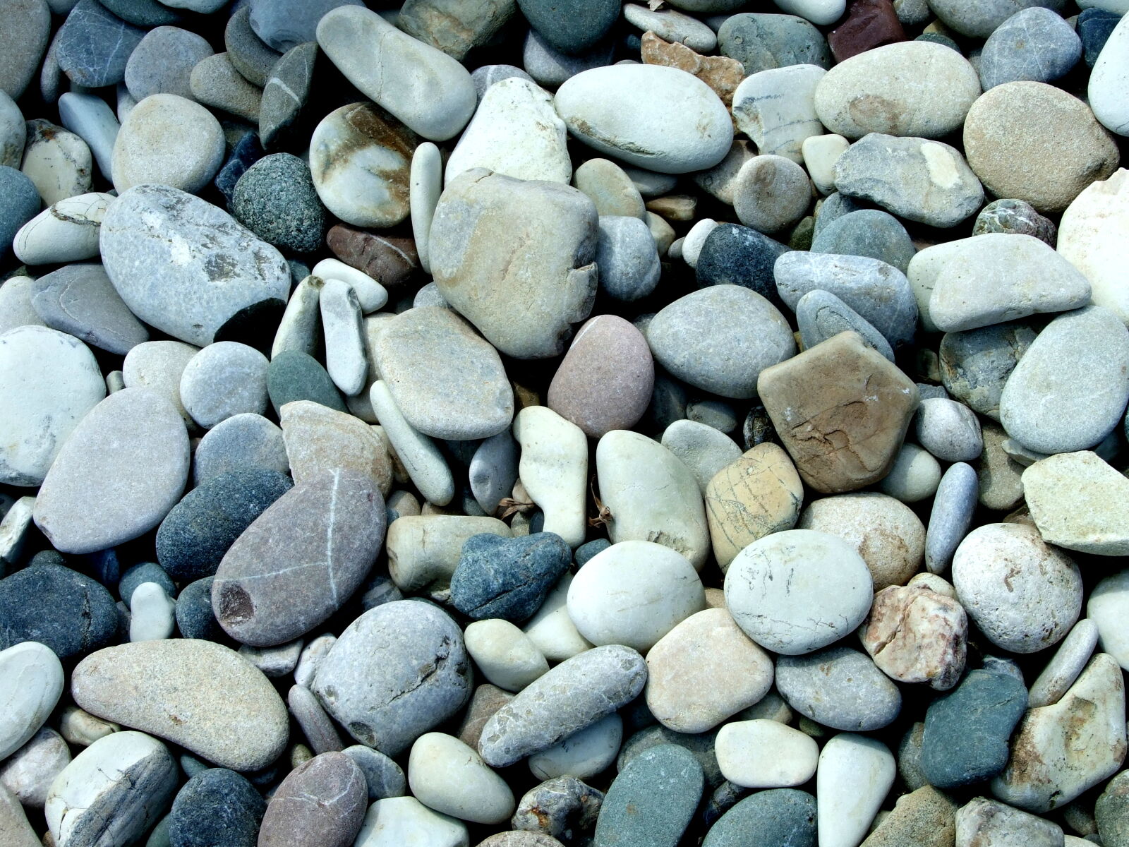 Fujifilm FinePix S6500fd sample photo. Pebbles photography