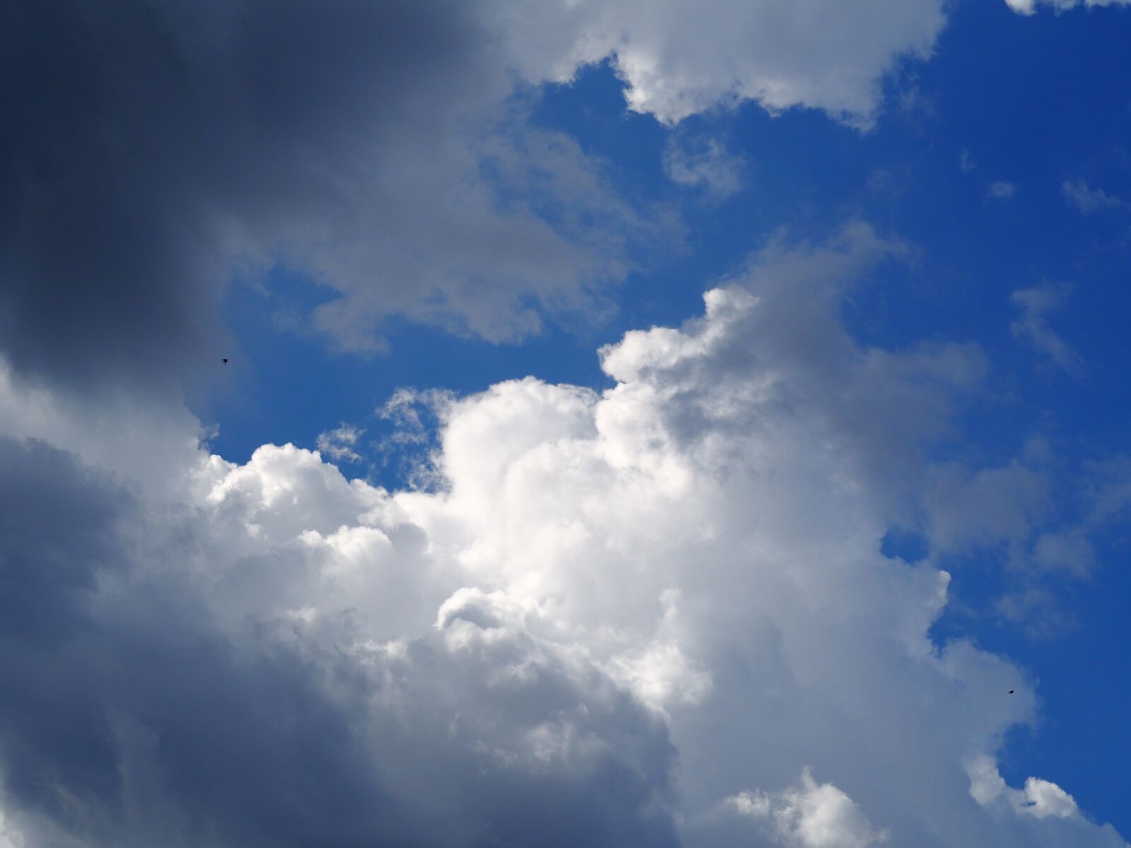 Olympus M.Zuiko Digital ED 40-150mm F4-5.6 R sample photo. Clouds, blue sky, nature photography