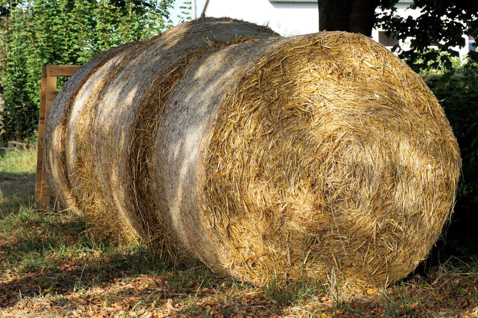 Sony a6000 sample photo. Straw, round bales, harvest photography