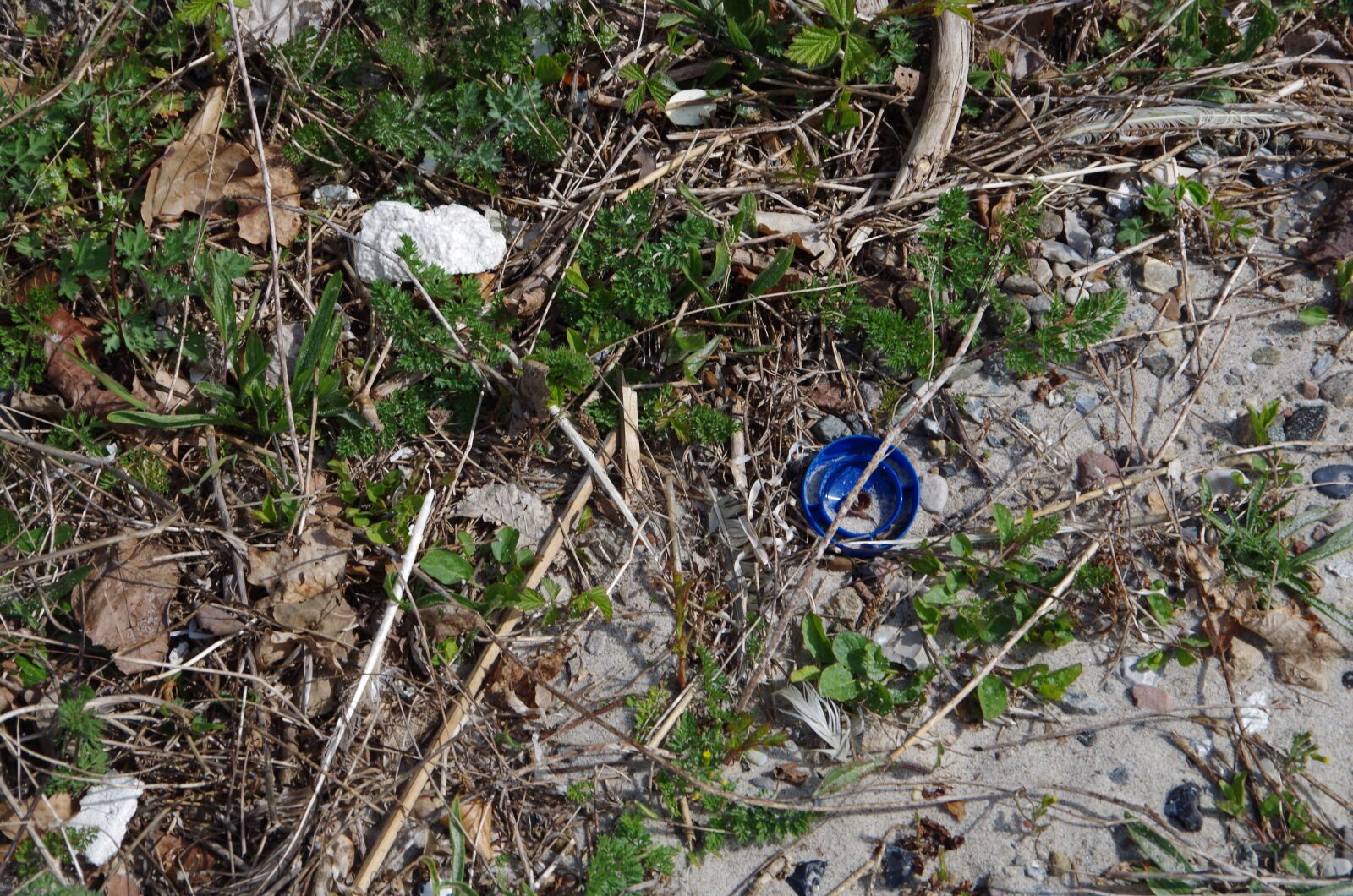 Pentax K-50 sample photo. Sea, beach, plastic photography
