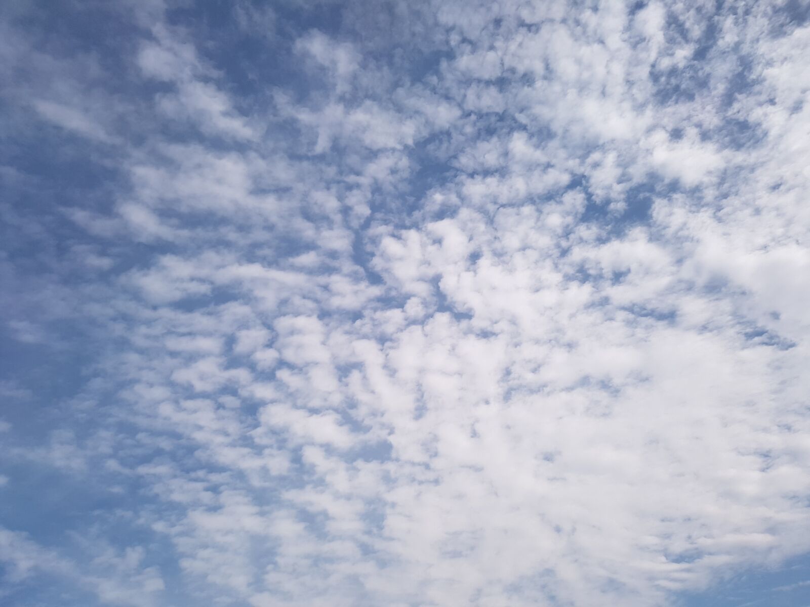 Samsung Galaxy S7 sample photo. Sky, cloud, blue sky photography