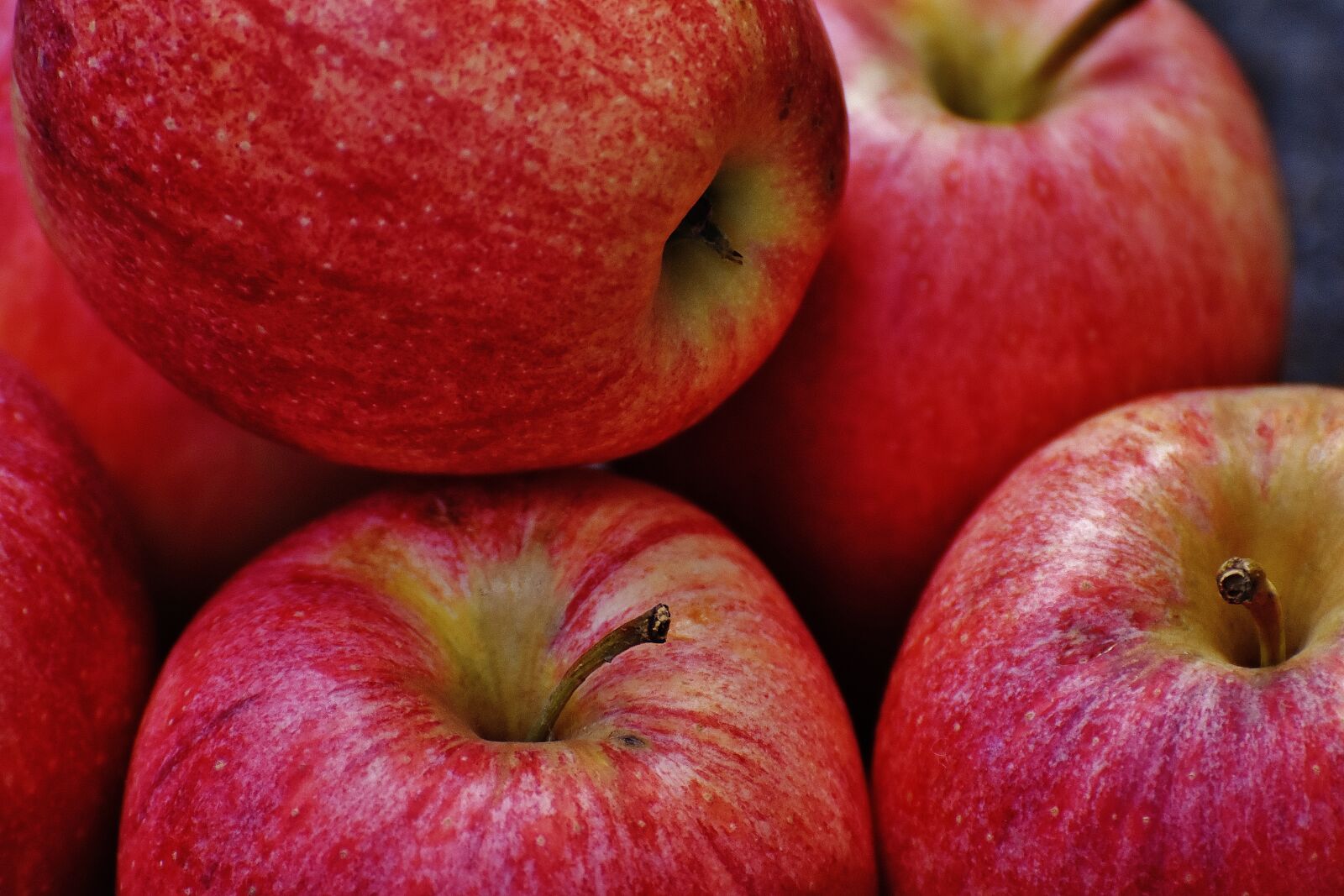 Nikon D7200 sample photo. Apple, red, delicious photography