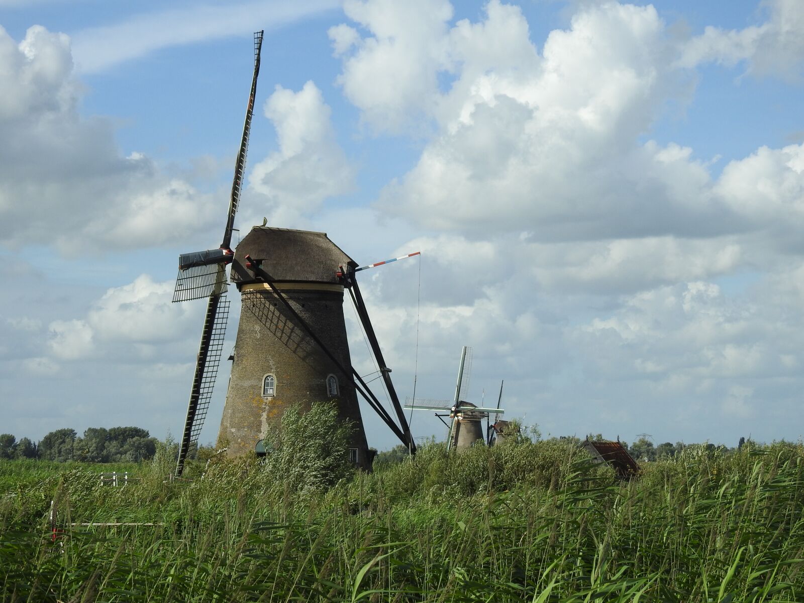 Nikon Coolpix P900 sample photo. Windmill, holland, sky photography