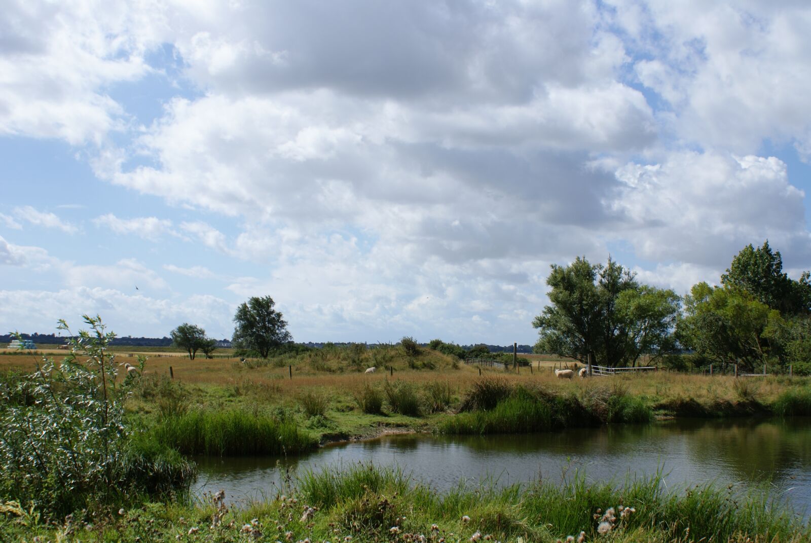 Sony Alpha DSLR-A200 sample photo. Essex, england, uk photography