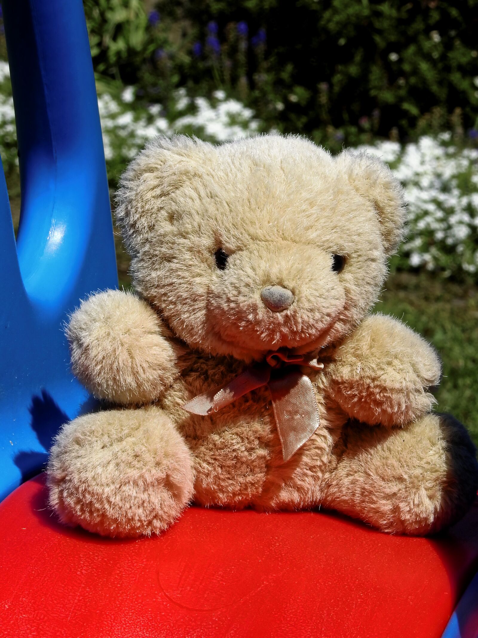 Nikon Coolpix P900 sample photo. Teddy bear, teddy, soft photography