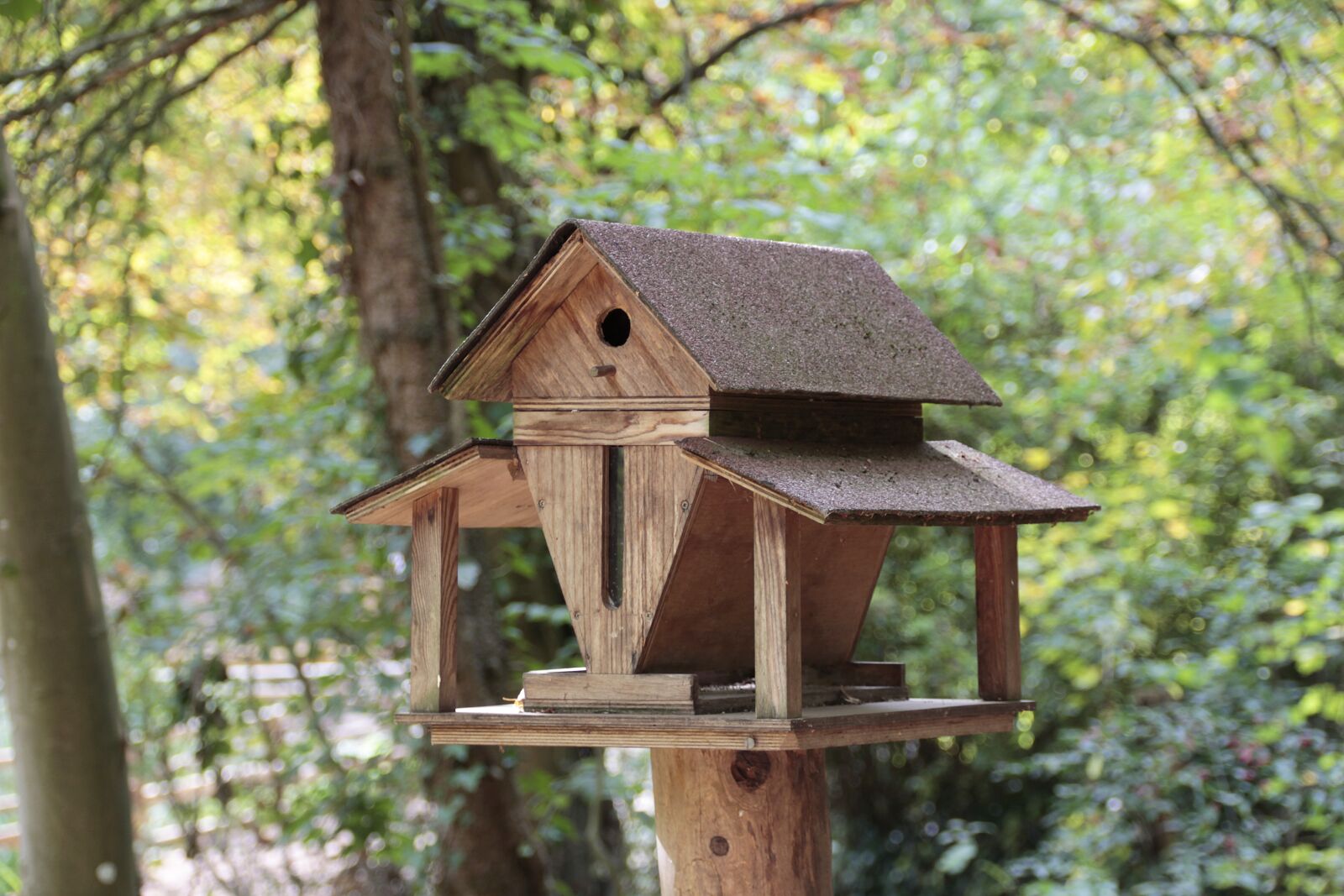 Canon EOS 700D (EOS Rebel T5i / EOS Kiss X7i) sample photo. Aviary, nature, wood photography