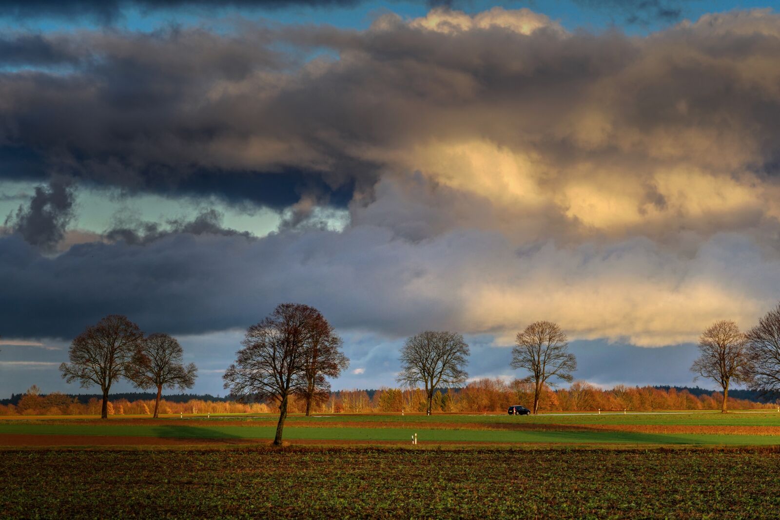 Panasonic Lumix DMC-GX8 sample photo. Clouds, abendstimmung, barbed wire photography