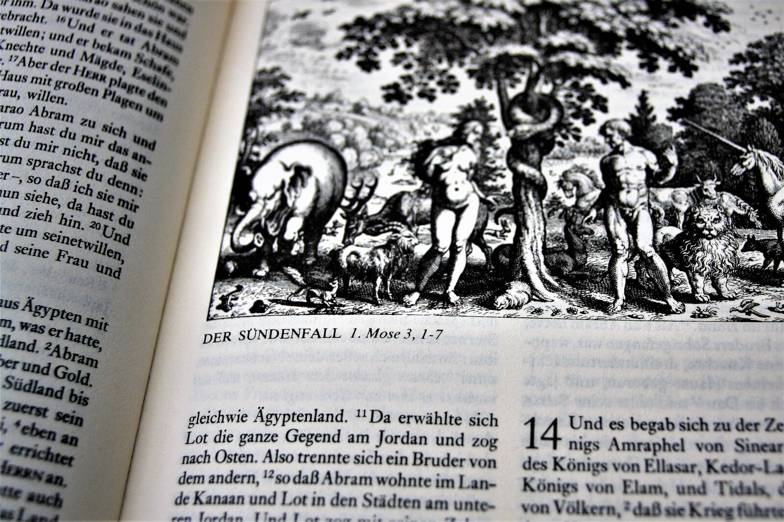 Canon EOS 400D (EOS Digital Rebel XTi / EOS Kiss Digital X) sample photo. Bible, religion, the scriptures photography