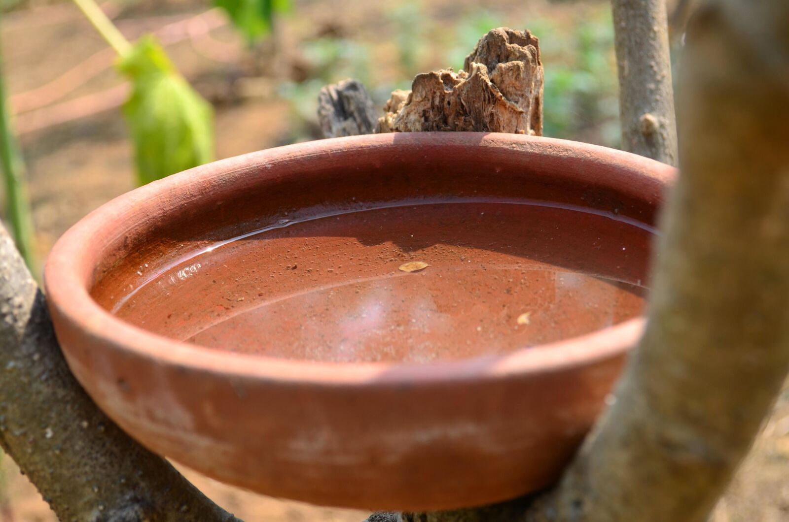 Nikon D5100 sample photo. Pottery, ceramics, water, bowl photography