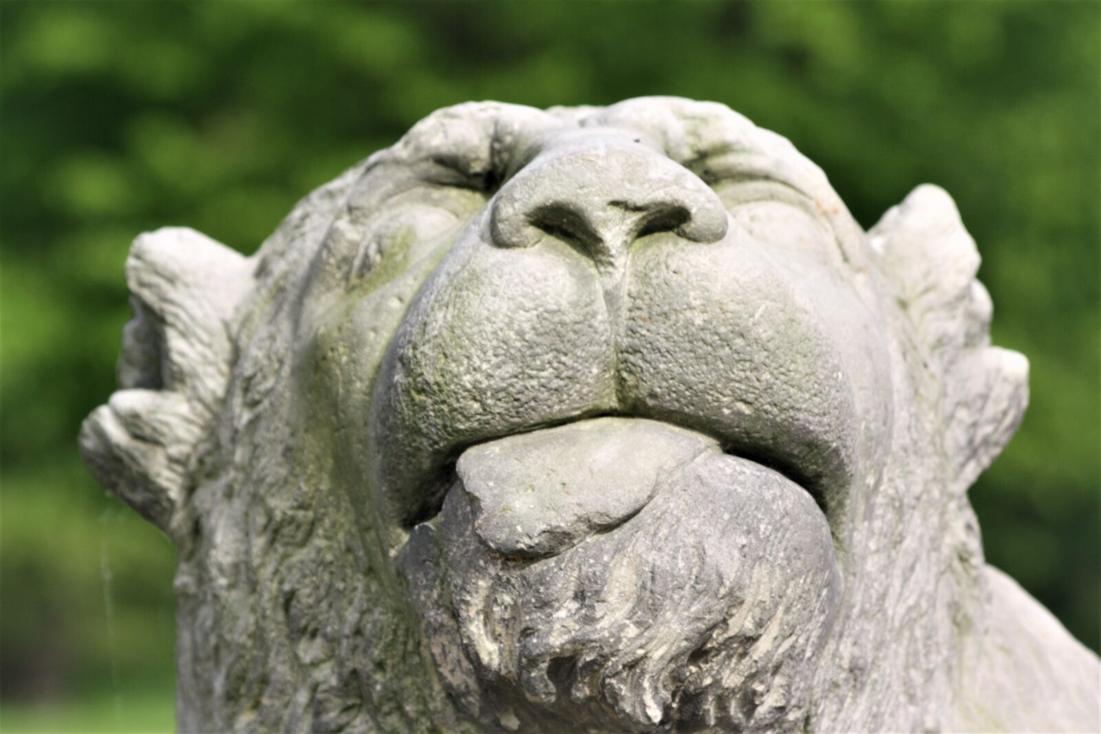 Canon EOS 1000D (EOS Digital Rebel XS / EOS Kiss F) sample photo. Monument, sculpture, lion photography