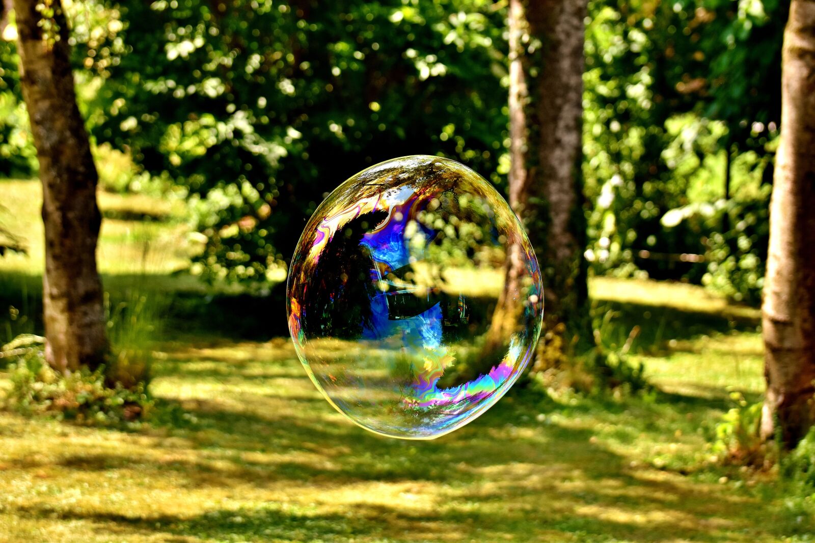 Nikon D7200 sample photo. Soap bubble, huge, large photography