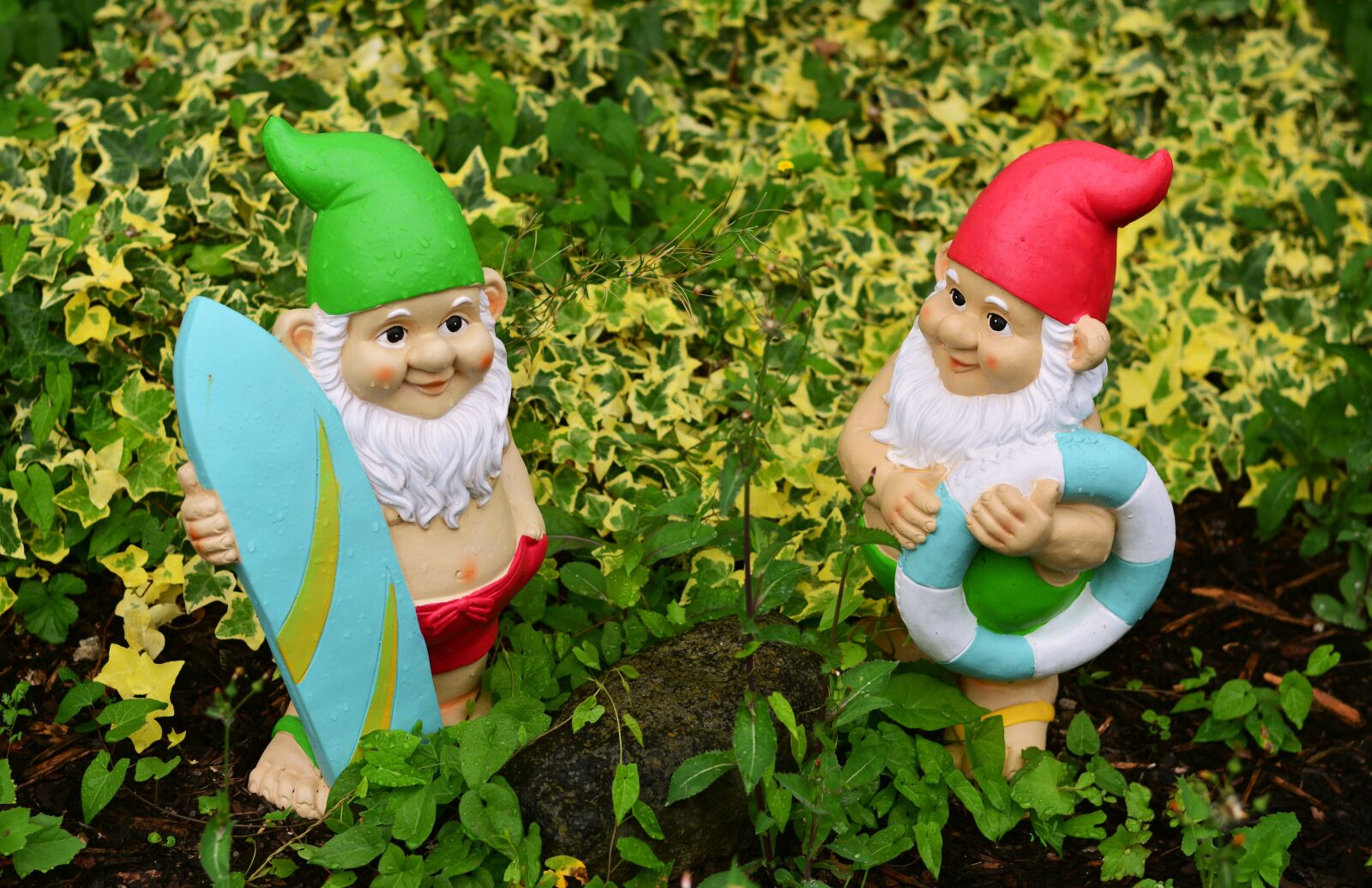 Nikon D5200 sample photo. Garden gnomes, garden, figures photography