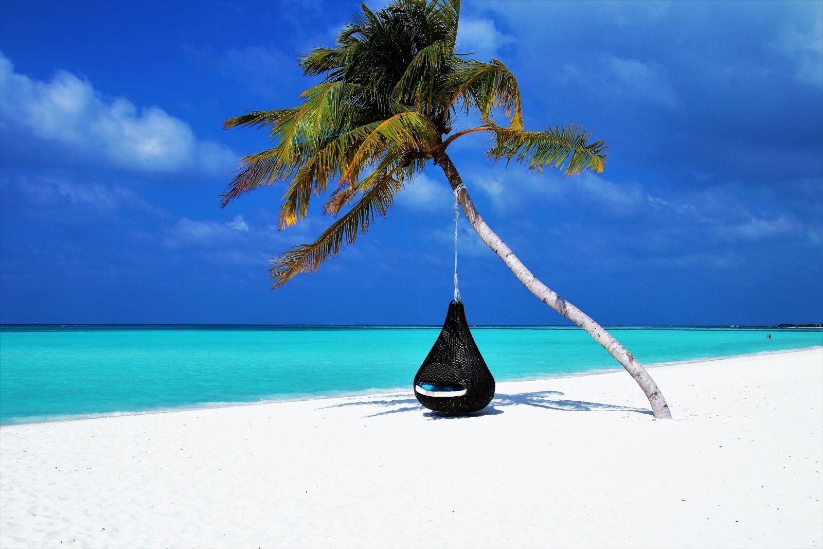 Canon EOS 80D sample photo. Maldives, palm tree, hammock photography