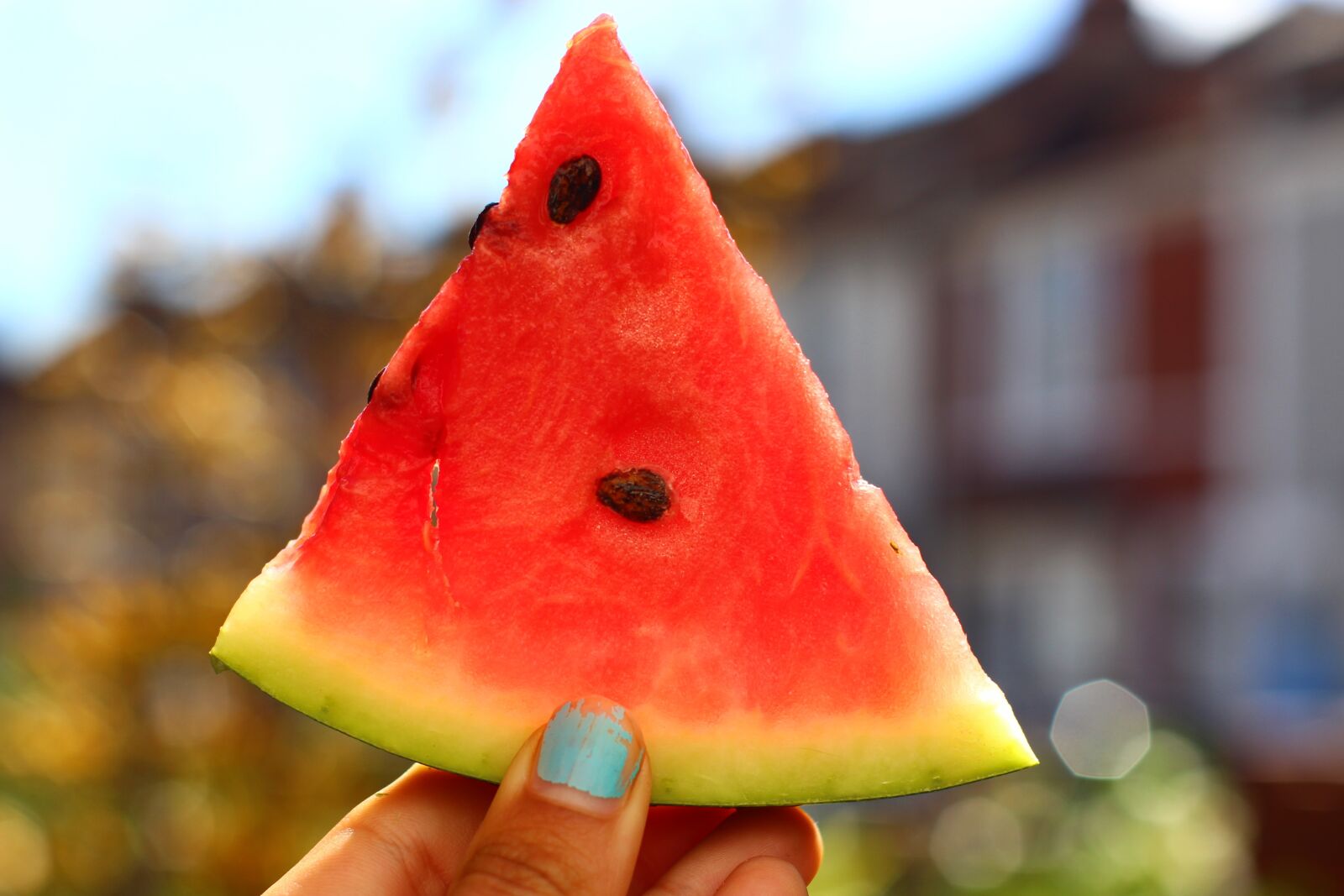 Canon EOS 700D (EOS Rebel T5i / EOS Kiss X7i) sample photo. Watermelon, fruit, healthy photography