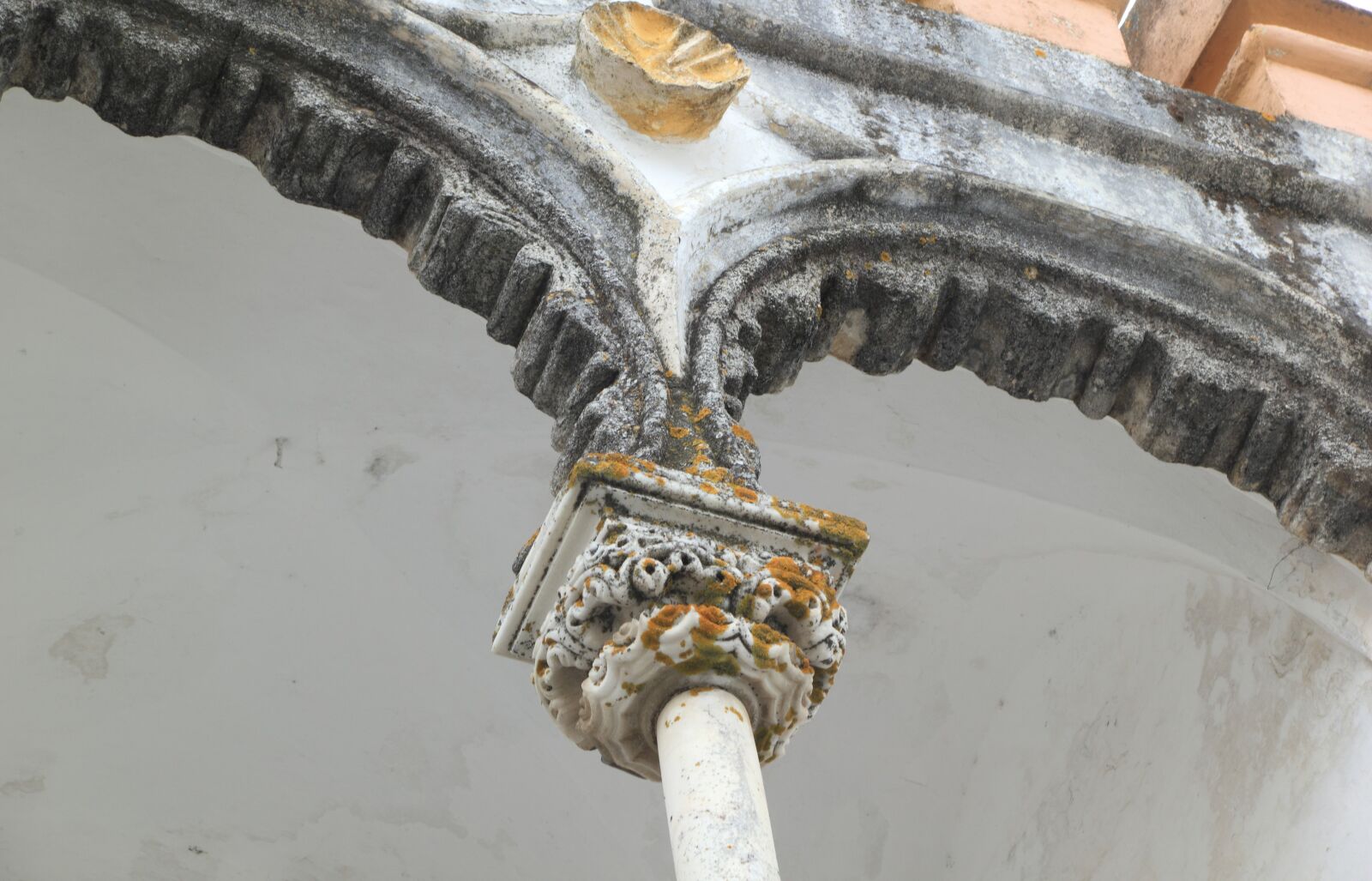 Canon EOS 550D (EOS Rebel T2i / EOS Kiss X4) sample photo. Portugal, evora, street photography