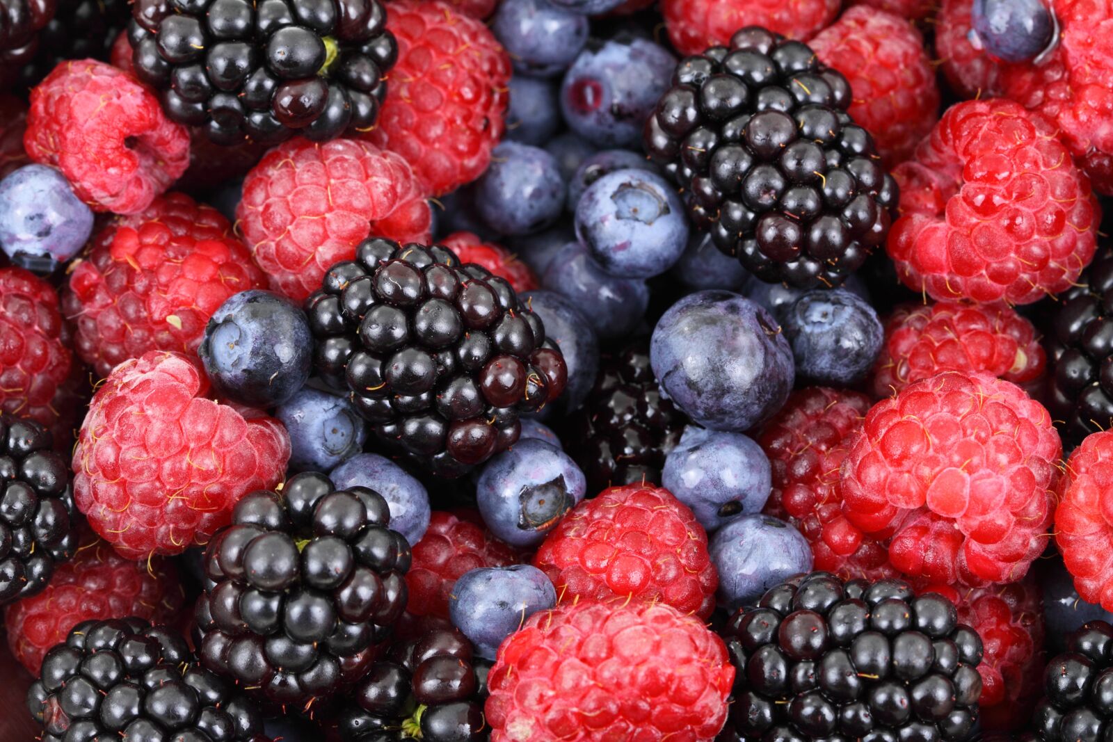 Canon EOS 50D sample photo. Food, forest, blueberries, raspberries photography