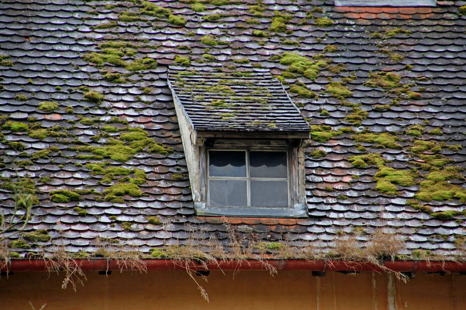 Canon EOS 60D sample photo. Window, roof, roof windows photography