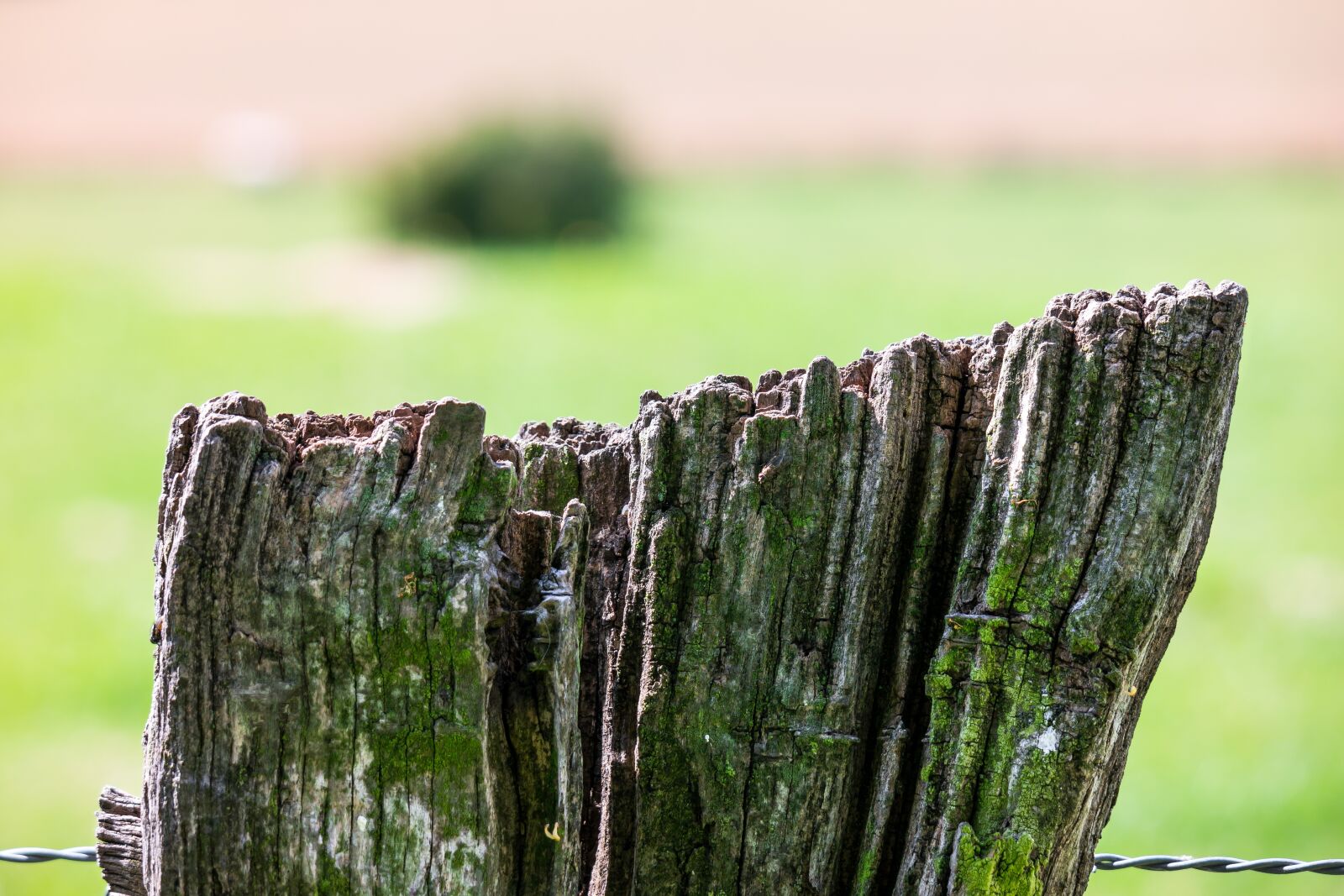 Samsung NX300M + Samsung NX 50-200mm F4-5.6 ED OIS sample photo. Fence, wire, pasture photography