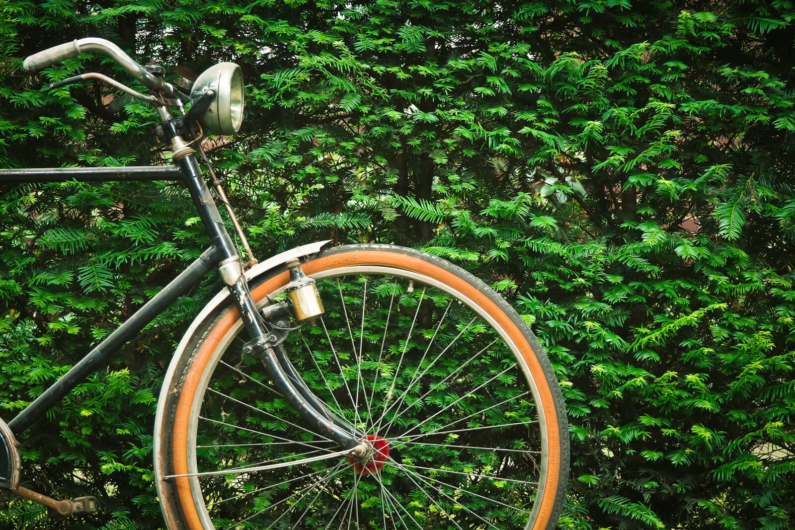Olympus OM-D E-M10 sample photo. Bike, old, wheel photography