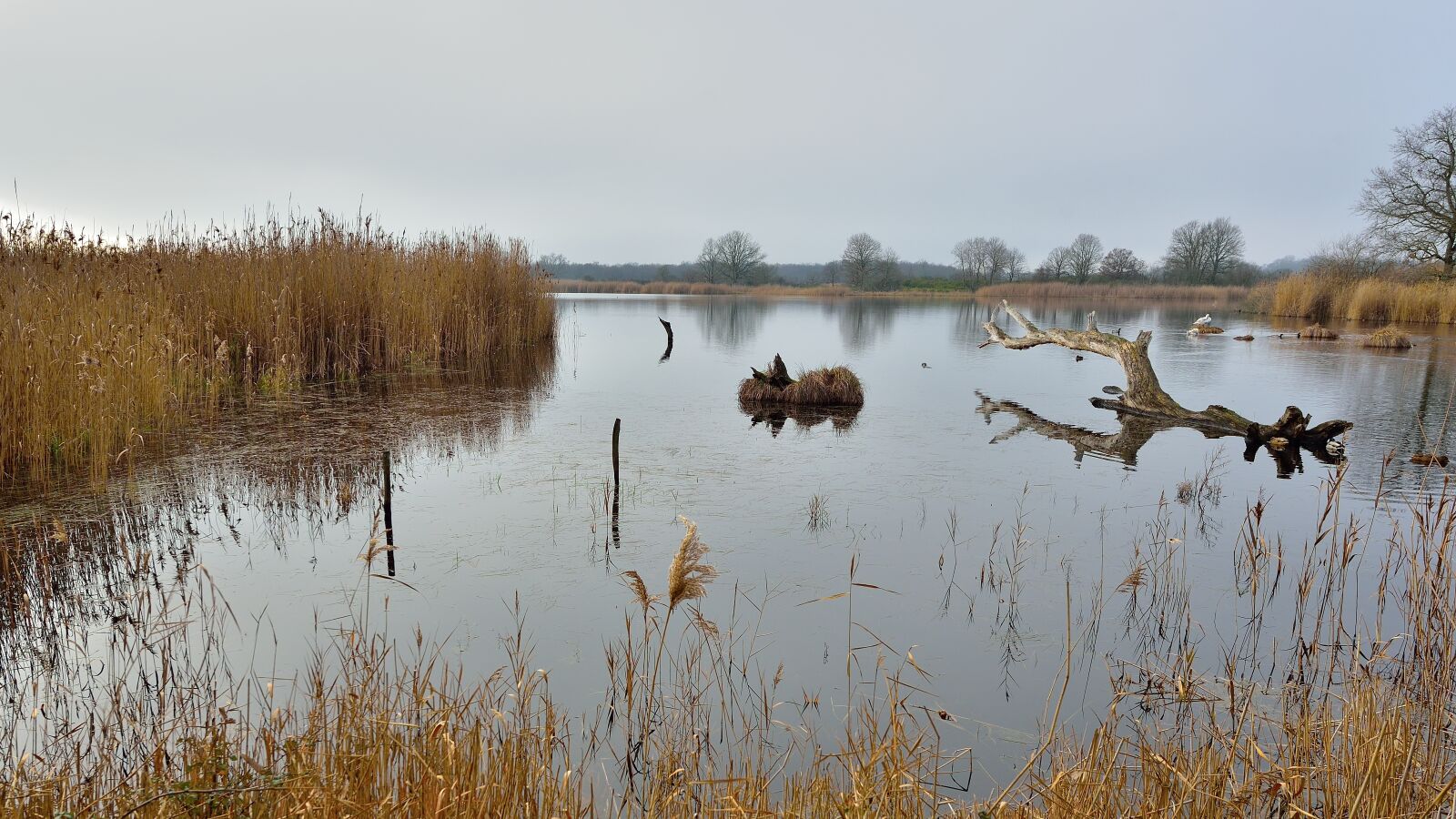 Nikon D750 sample photo. Water, sky, landscape photography