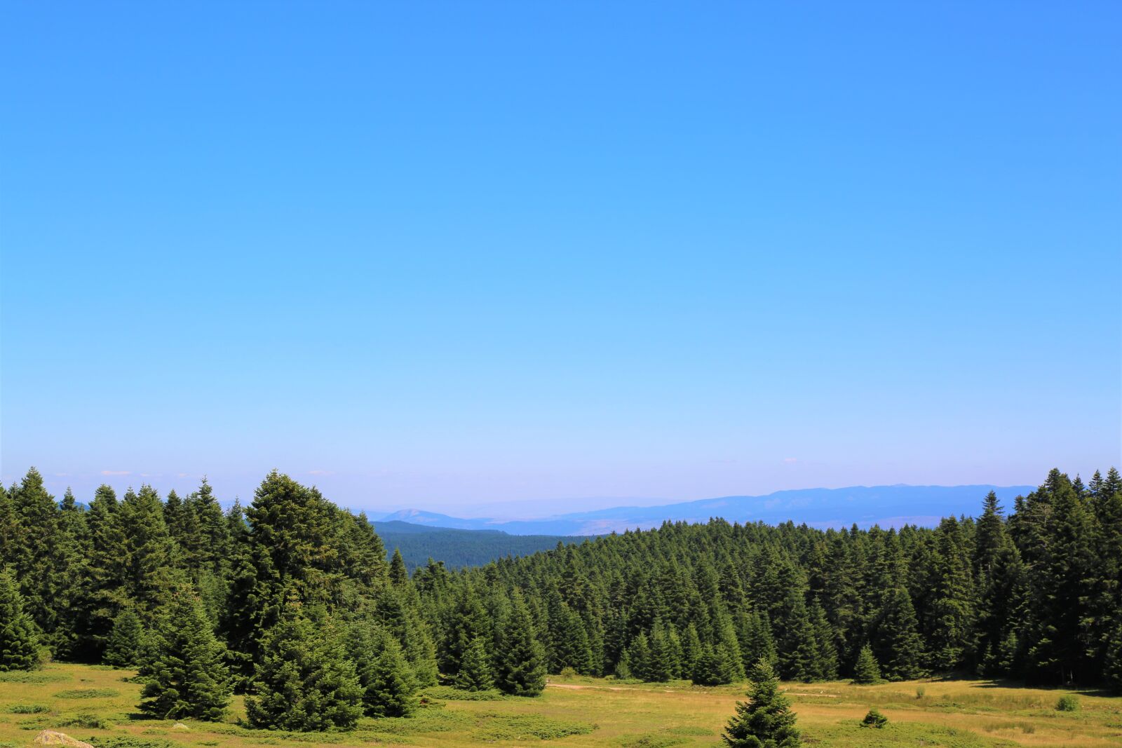 Canon EF 24-105mm F4L IS USM sample photo. Forest, mountains, landscape photography