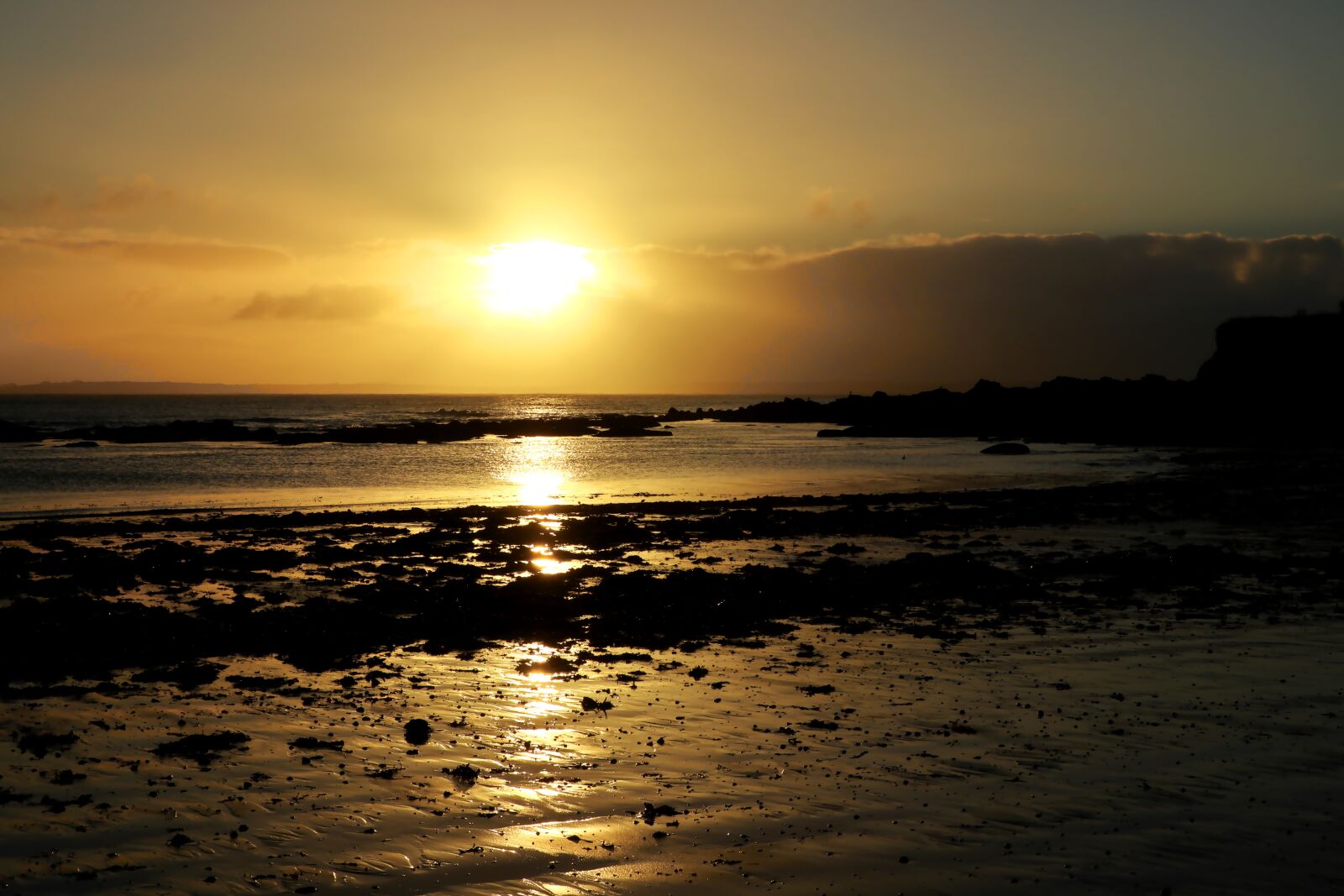 Canon PowerShot G1 X Mark III sample photo. Sunset, ocean, beach photography