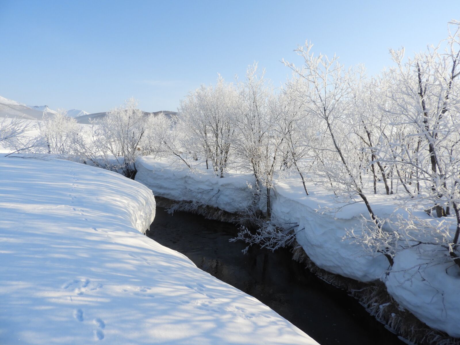 Nikon Coolpix B700 sample photo. Leann, river, winter photography