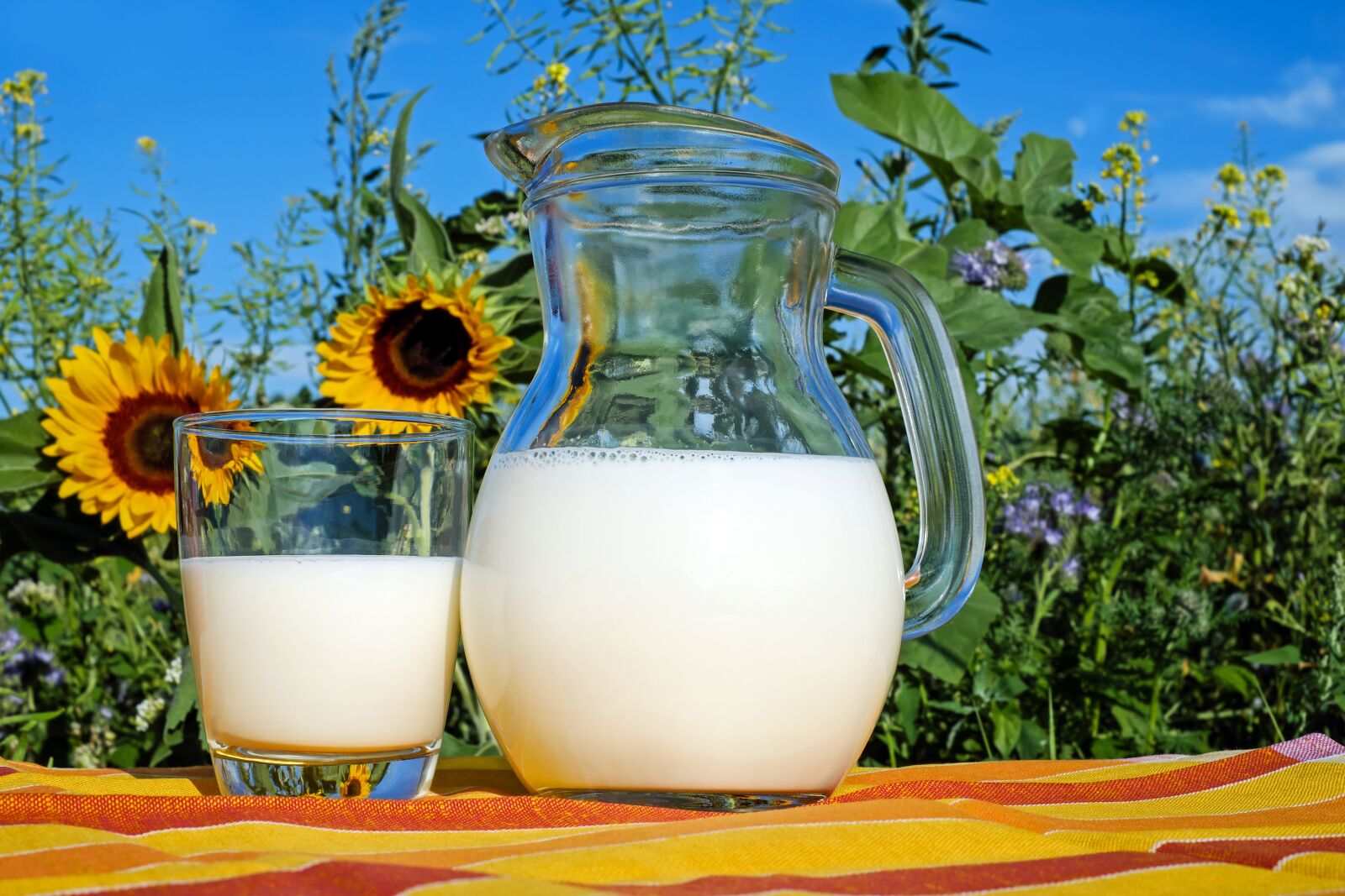 Fujifilm X-T10 + Fujifilm XF 35mm F1.4 R sample photo. Milk, glass, fresh photography