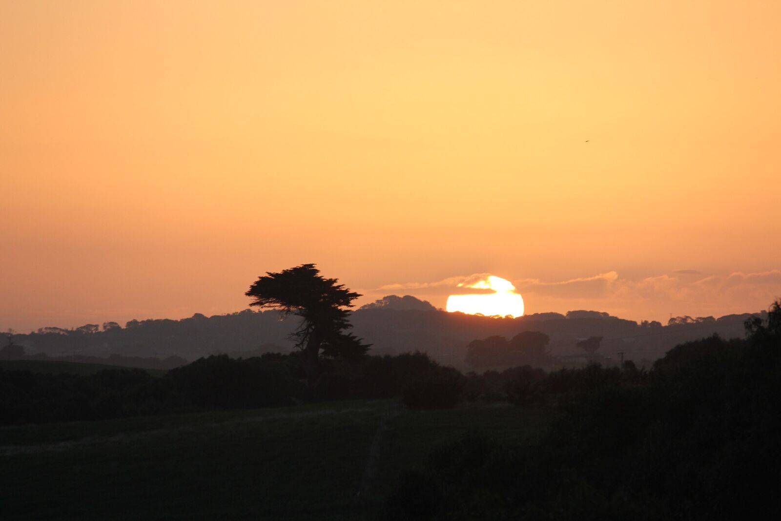 Canon EOS 550D (EOS Rebel T2i / EOS Kiss X4) sample photo. Victoria, sunset, calm photography
