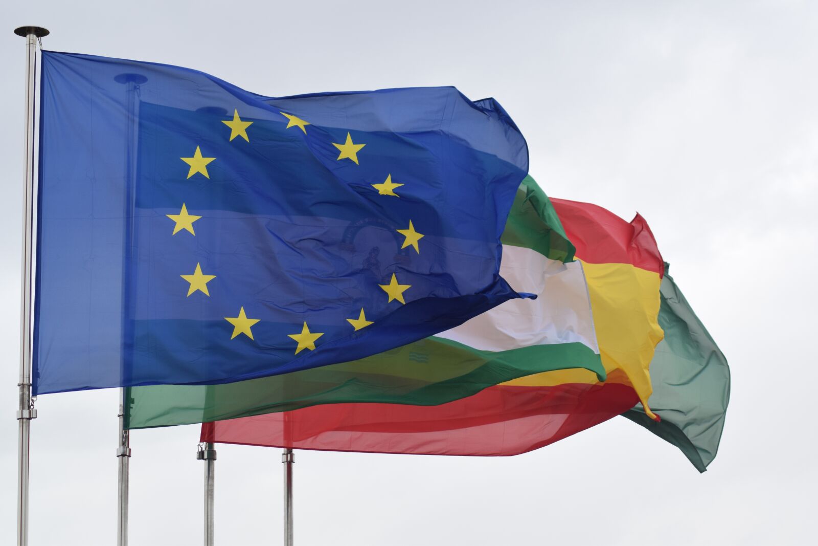 Nikon D3300 sample photo. Flags, flag of the photography
