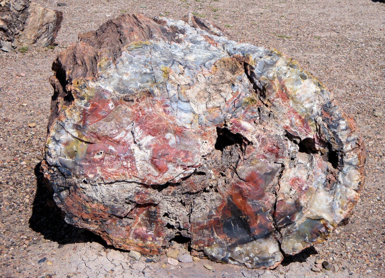 Sony Cyber-shot DSC-W150 sample photo. Petrified forest national park photography