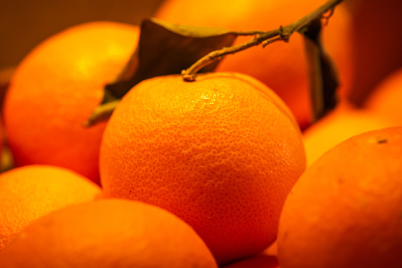 Nikon D750 sample photo. Orange, fruit, vitamins photography