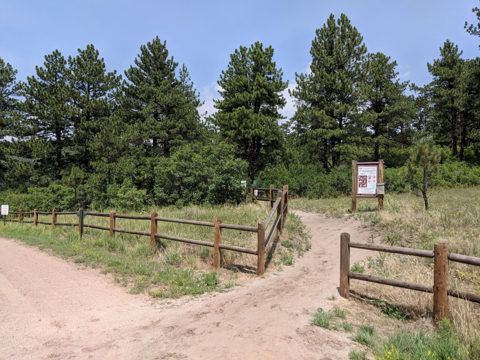 Google Pixel 2 sample photo. Hiking trail, hiking path photography