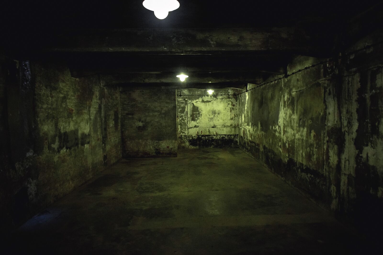 Nikon D3300 sample photo. Auschwitz, concentration camp, death photography