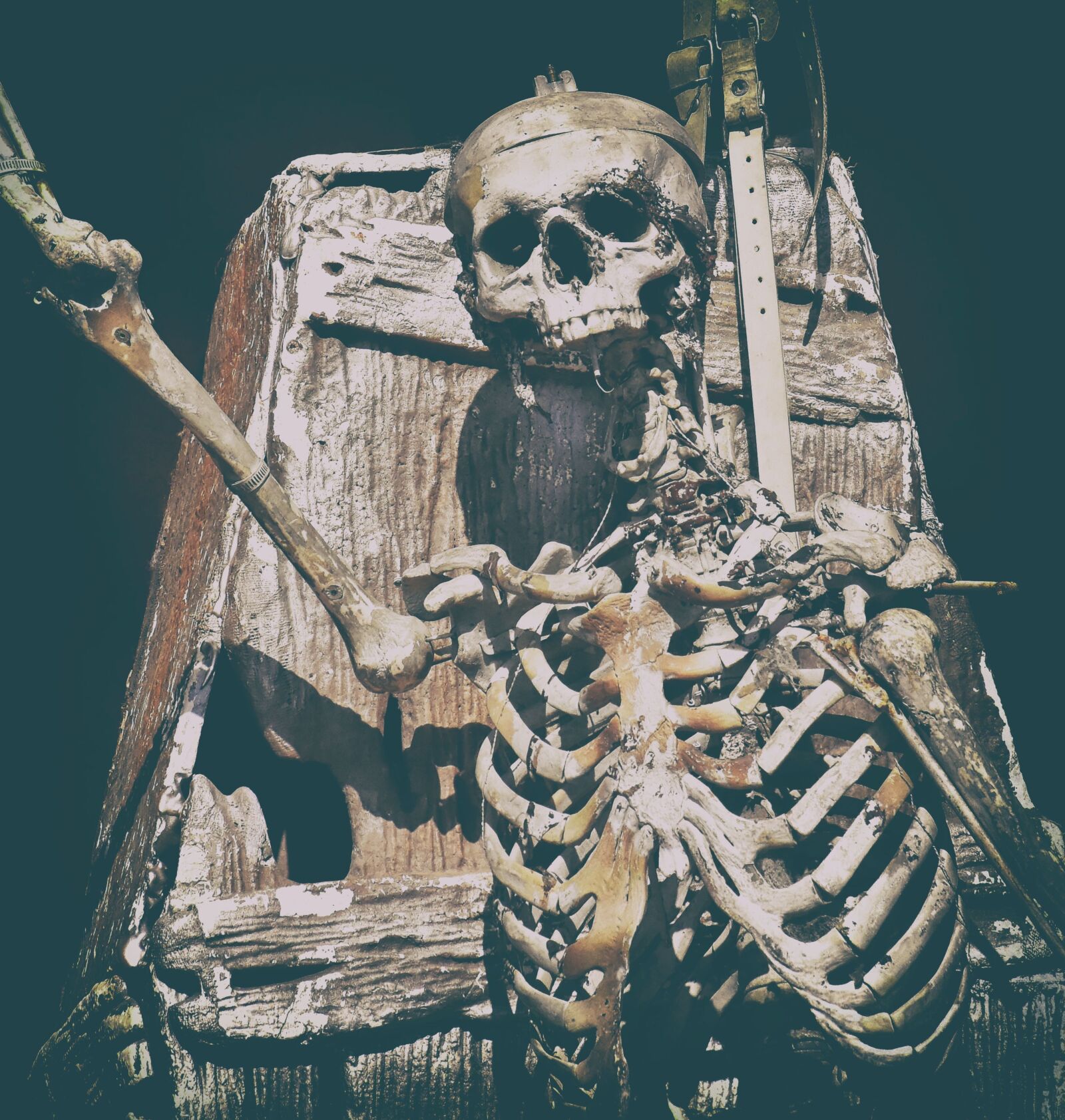 Nikon D7200 sample photo. Skeleton, ghost train, fairground photography