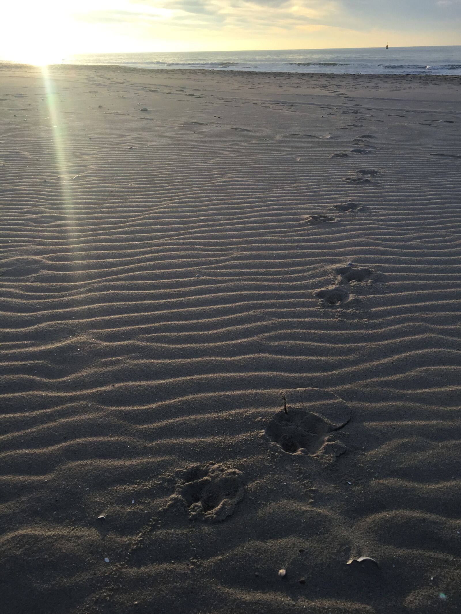 Apple iPhone 6 Plus sample photo. Sand, netherlands, beach photography