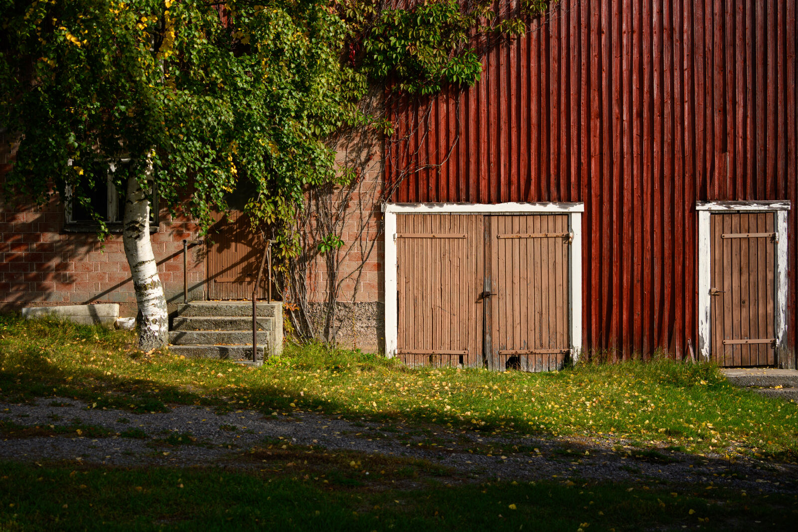 Nikon Z8 sample photo. Barn doors photography