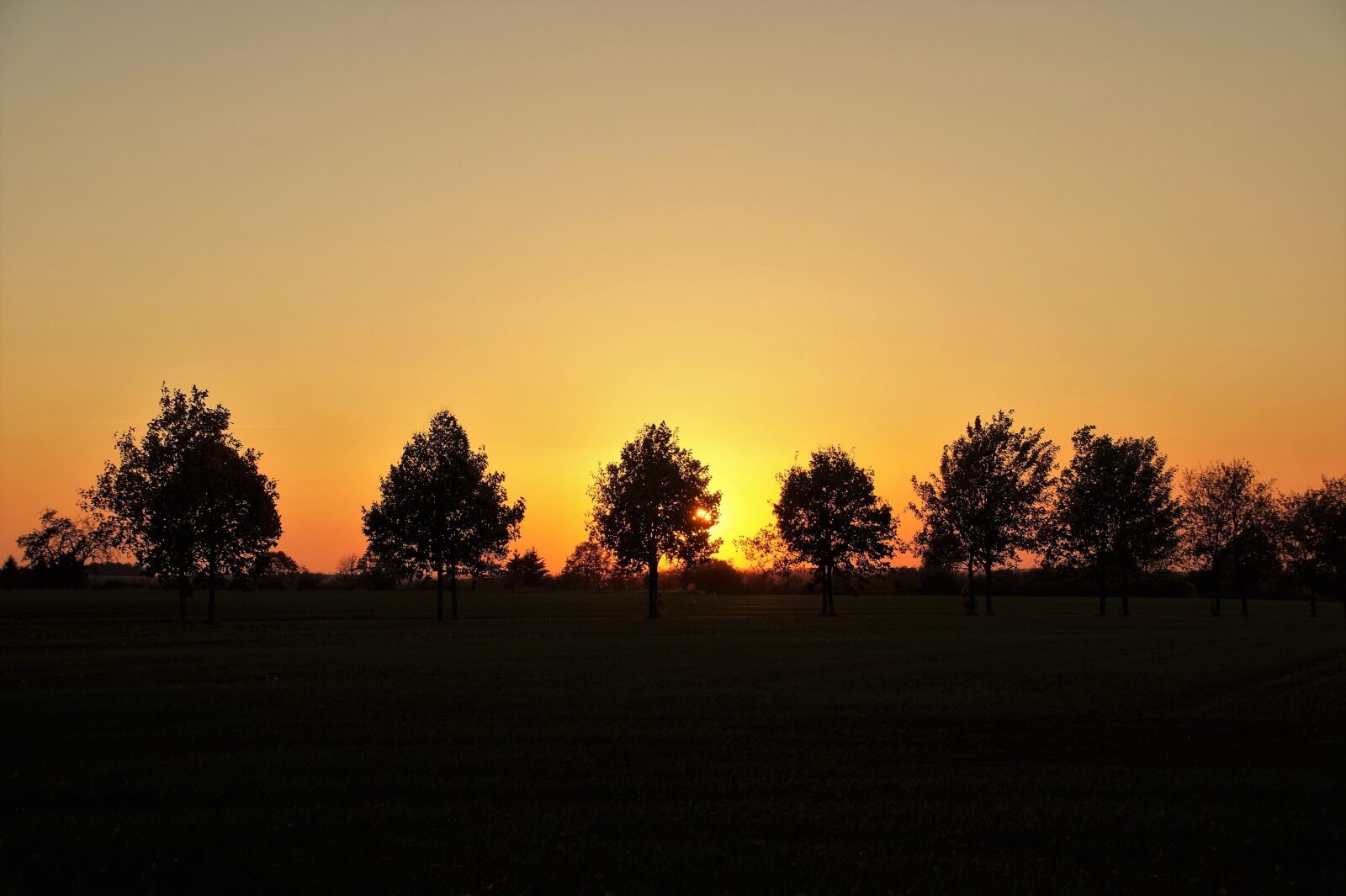 Sony SLT-A58 sample photo. Sunset, evening, twilight photography