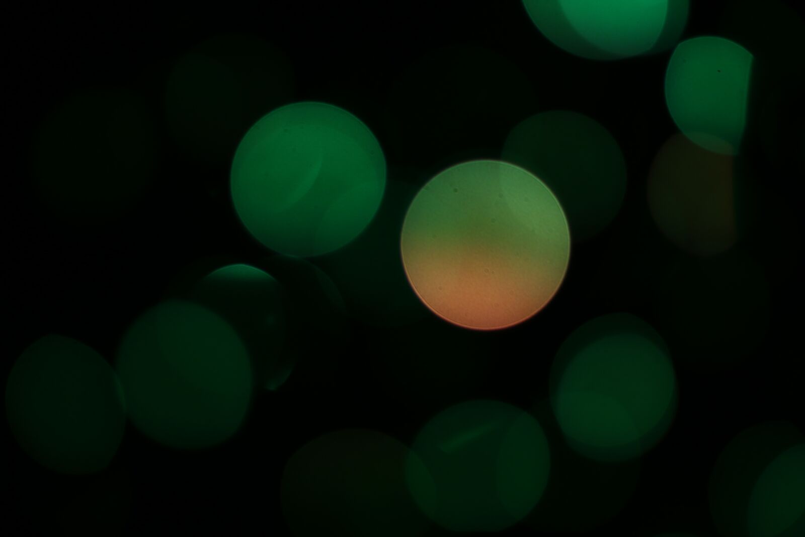 Canon EOS 70D + Canon EF 50mm F1.8 STM sample photo. Bokeh, light, background photography