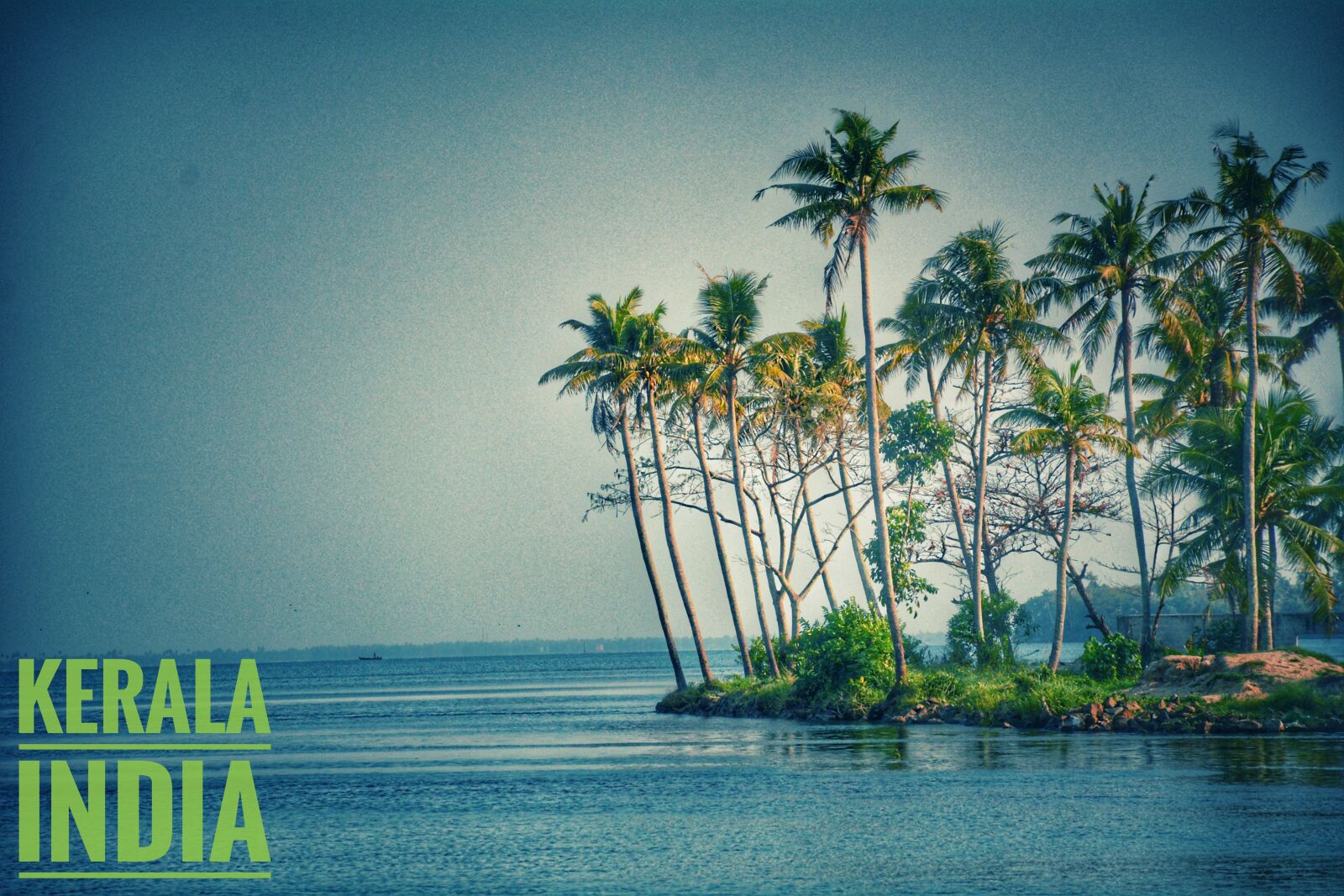 Nikon D7100 sample photo. Backwaters, green, holidays, india photography