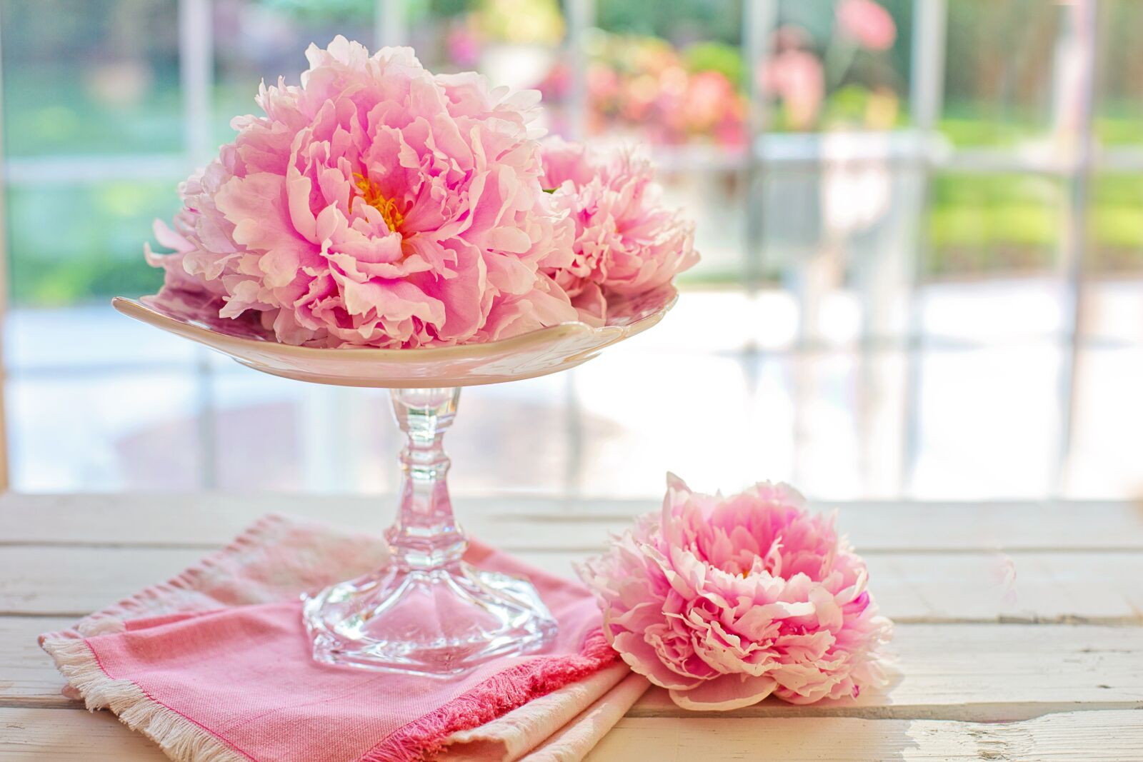Canon EF 50mm F1.4 USM sample photo. Peonies, peony, flowers photography