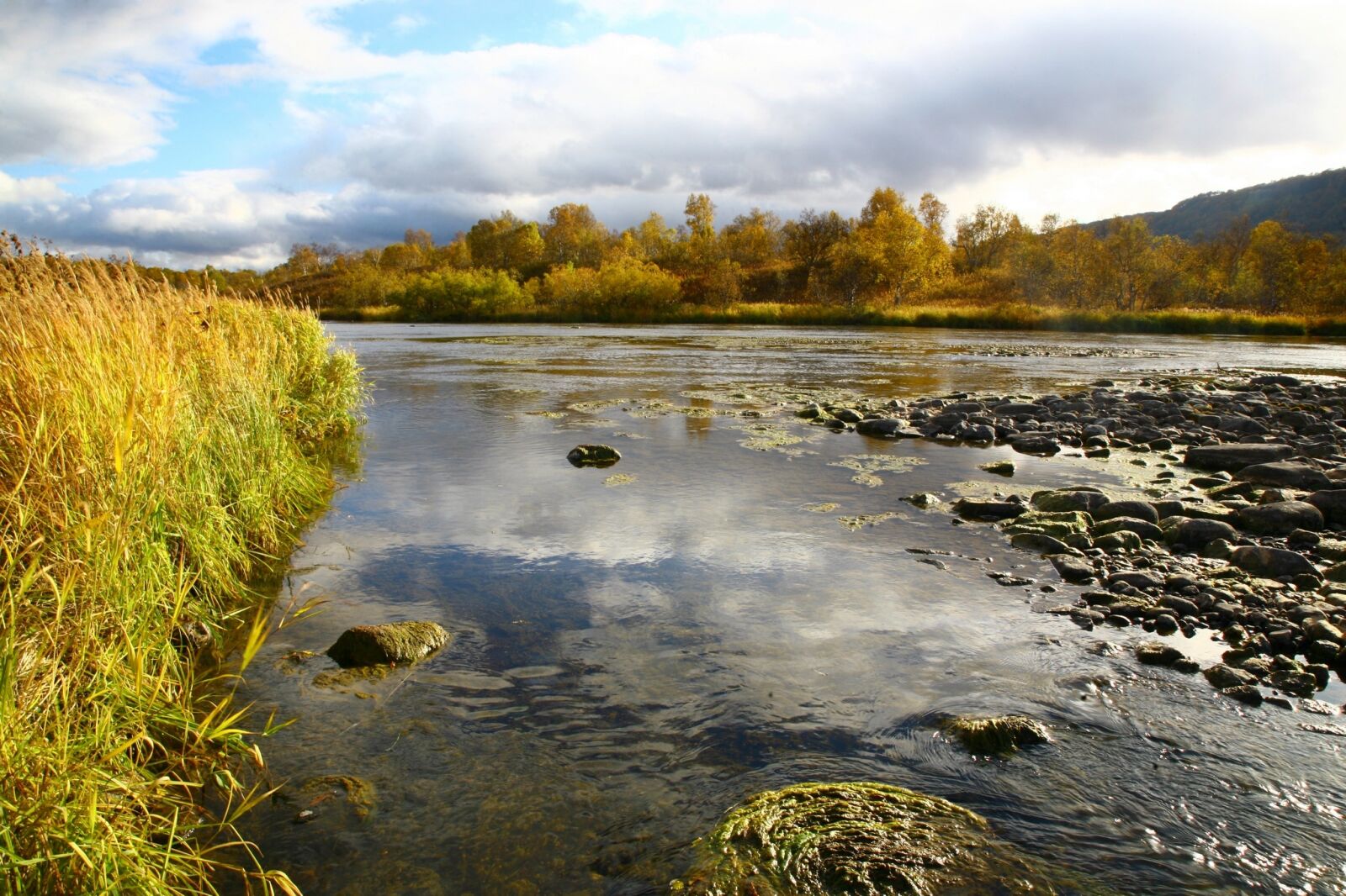 Canon EOS 5D sample photo. River, back on track photography