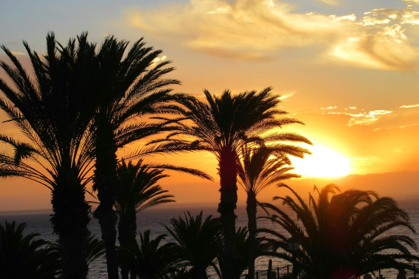 Canon PowerShot ELPH 350 HS (IXUS 275 HS / IXY 640) sample photo. Sunrise, palm trees, sea photography
